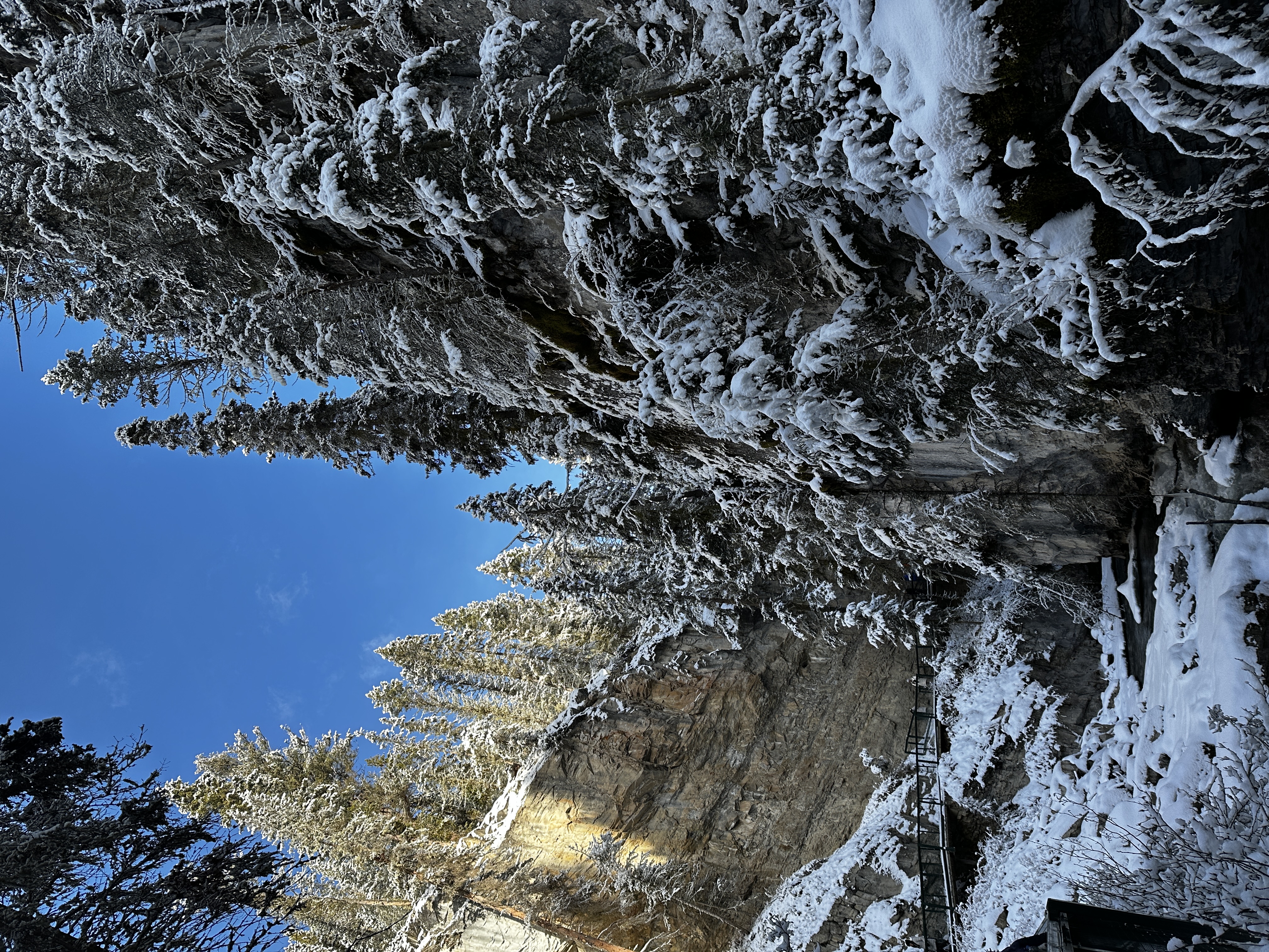 Johnston Canyon, Banff, Alberta