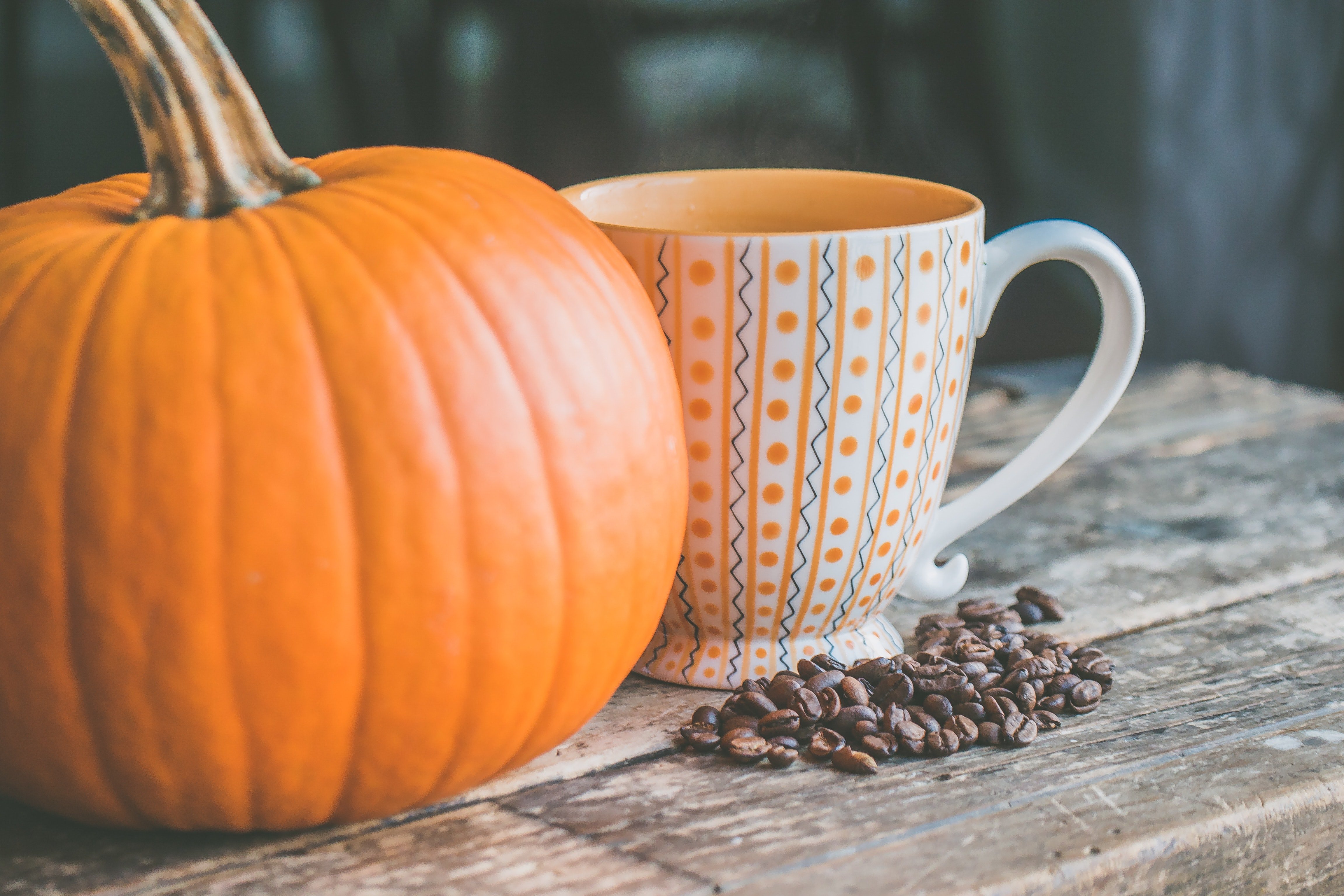 pumpkin and mug with coffee grounds by Jessica Lewis?width=698&height=466&fit=crop&auto=webp&dpr=4