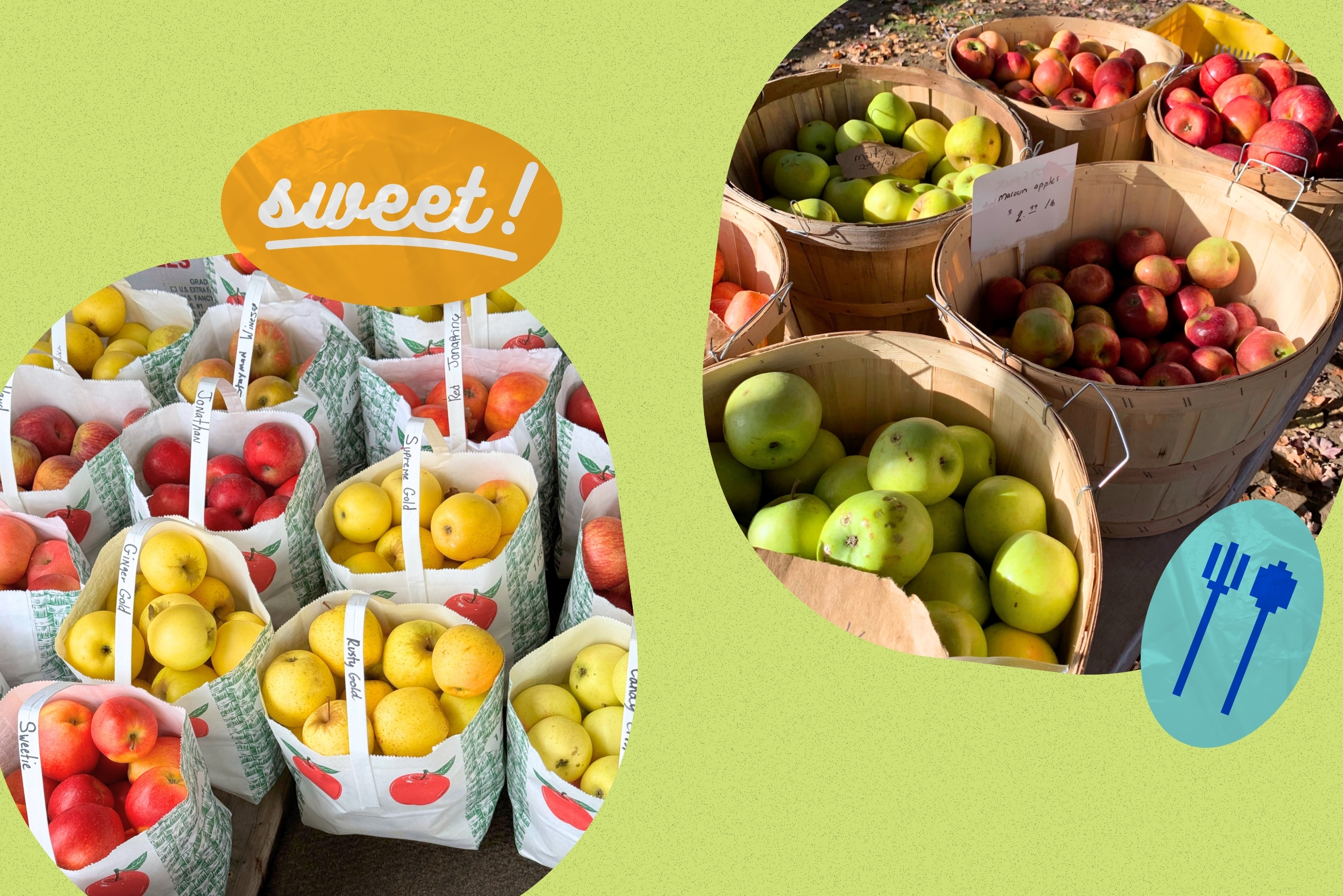 appleranking?width=698&height=466&fit=crop&auto=webp&dpr=4