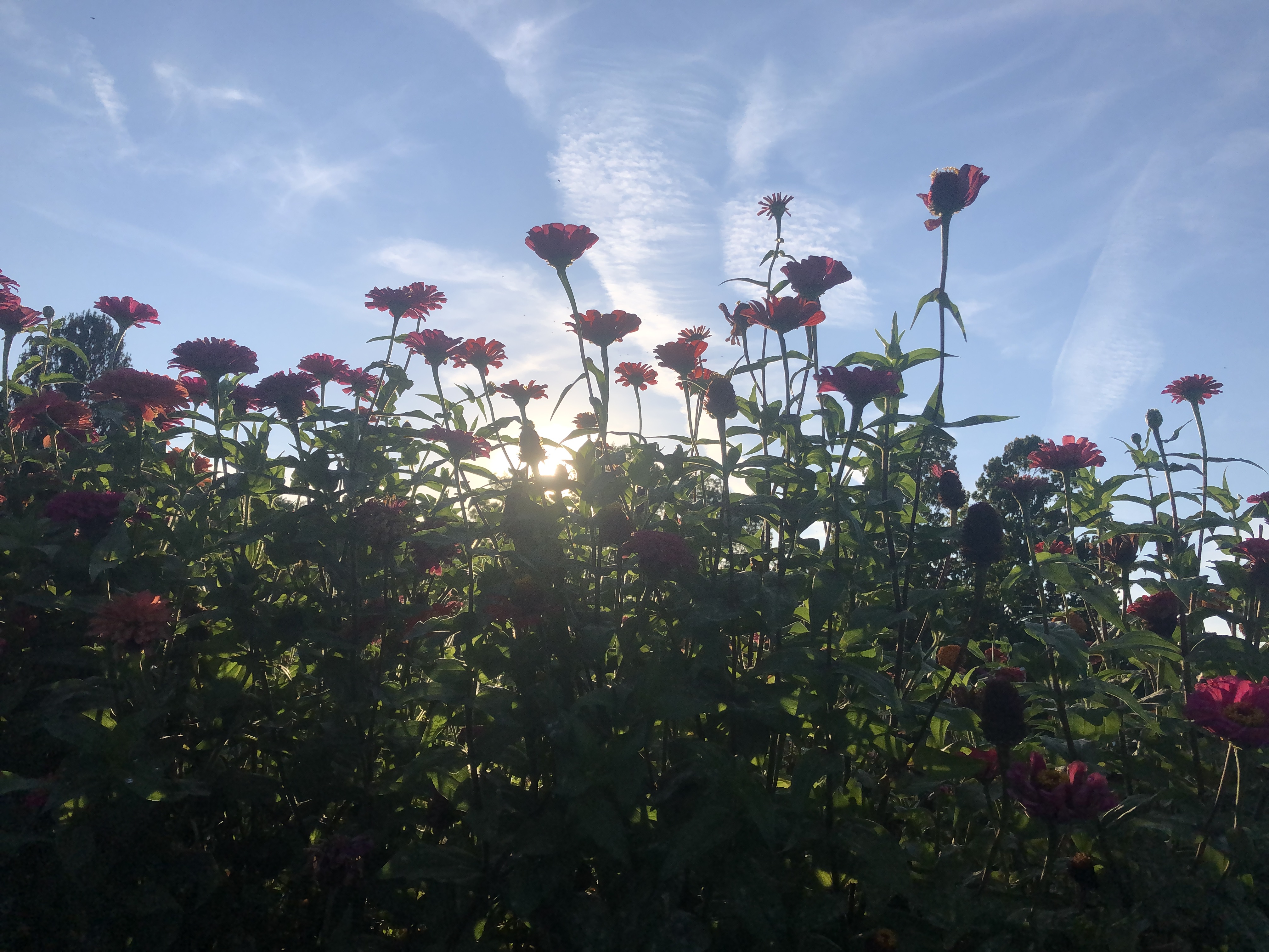 img0147jpg by Brandy Muz?width=698&height=466&fit=crop&auto=webp&dpr=4