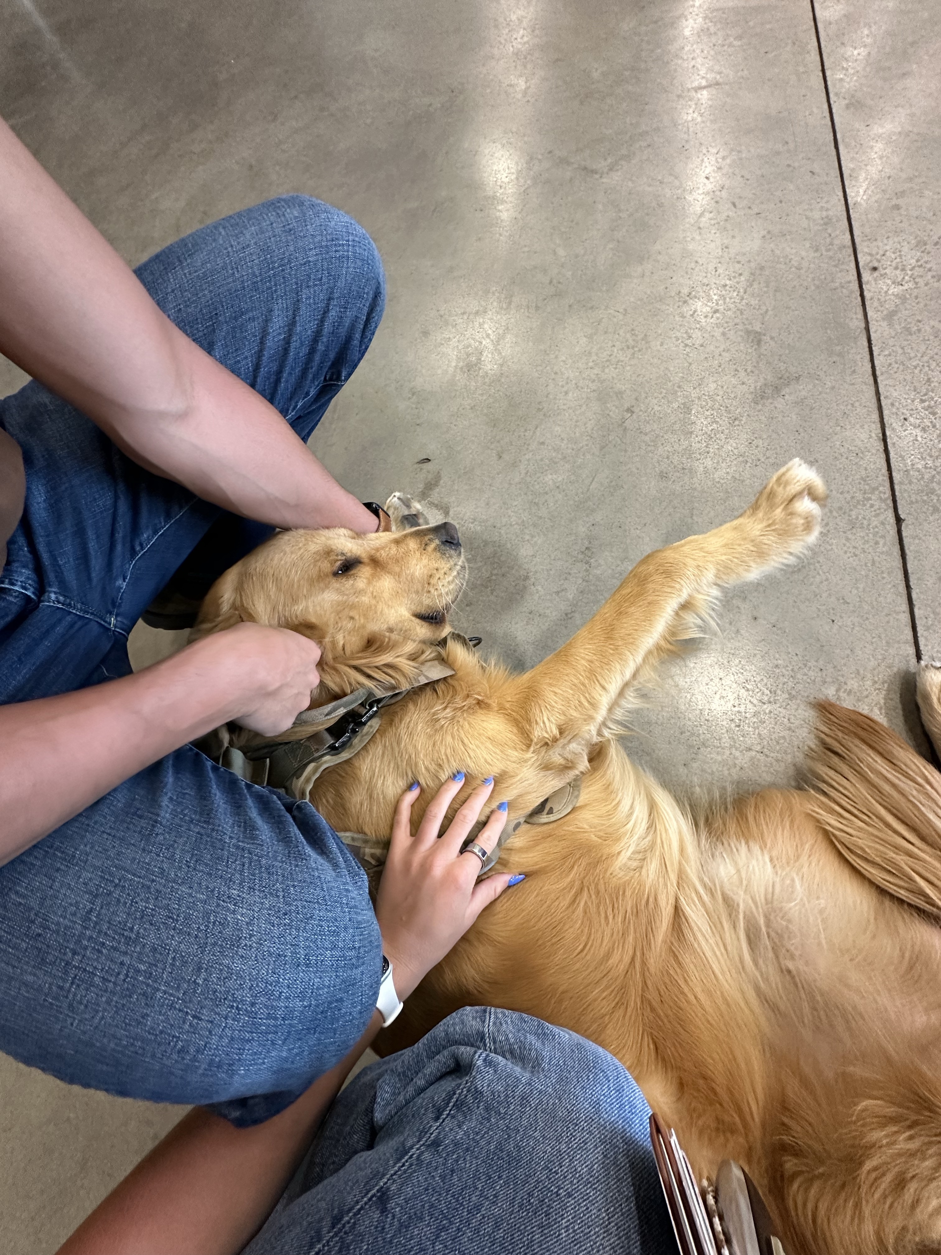 ways to give back holidays