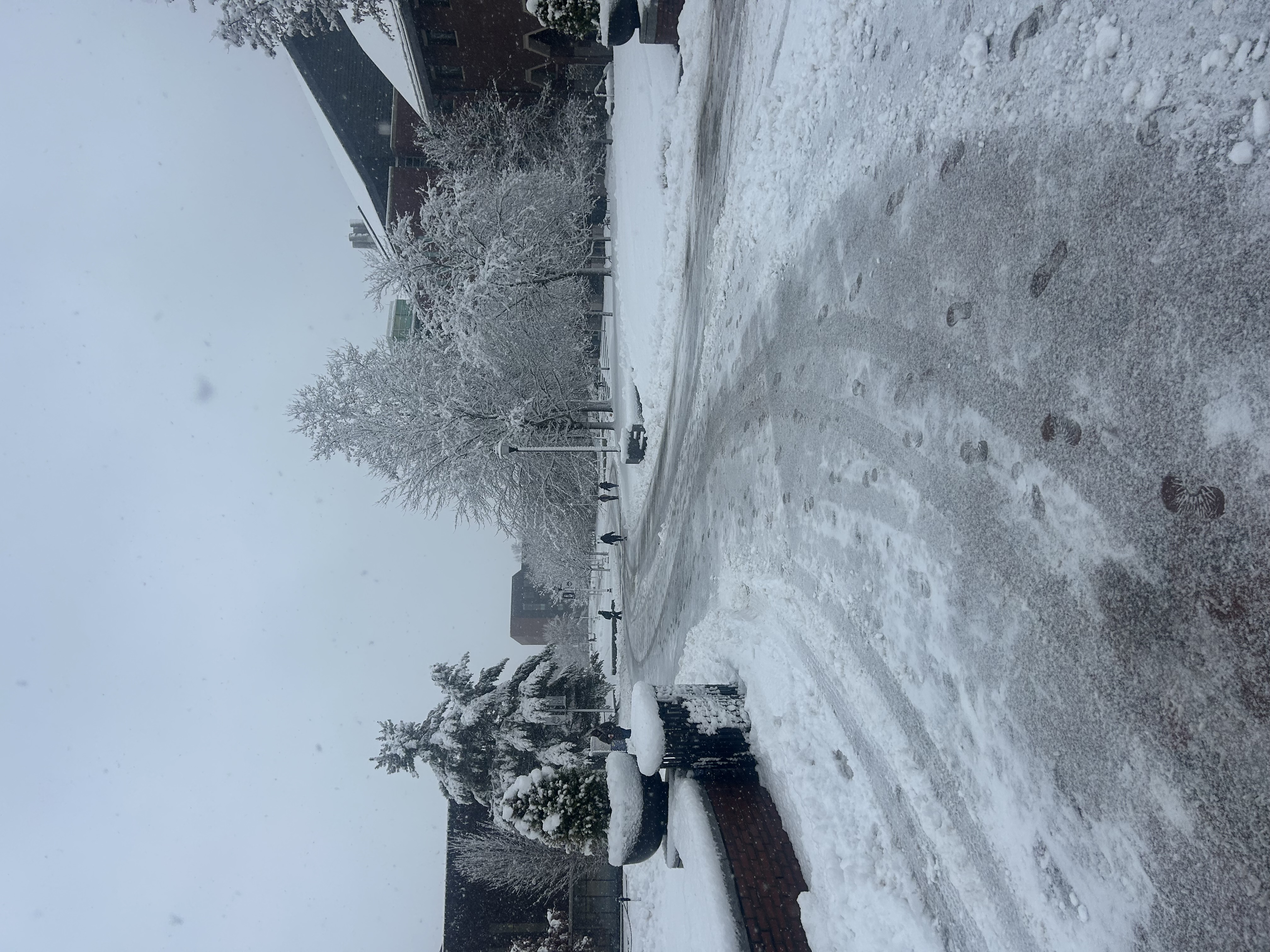 snowjpegjpg by Julia Casola?width=698&height=466&fit=crop&auto=webp&dpr=4