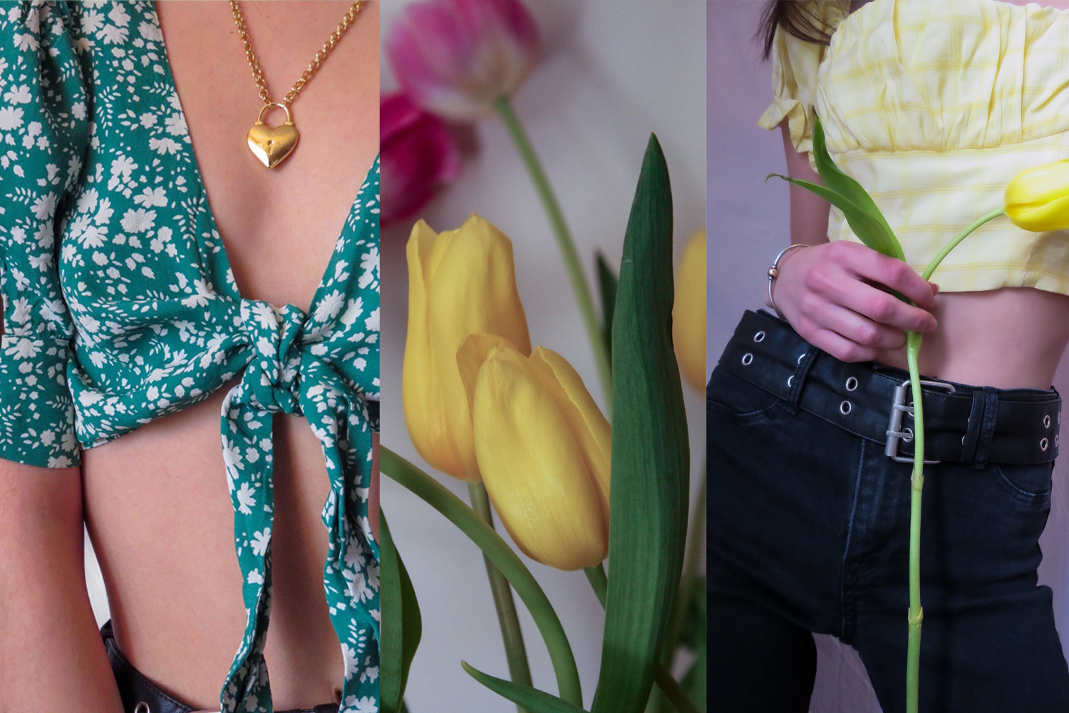 pastelsjpg by Brianne Petrone