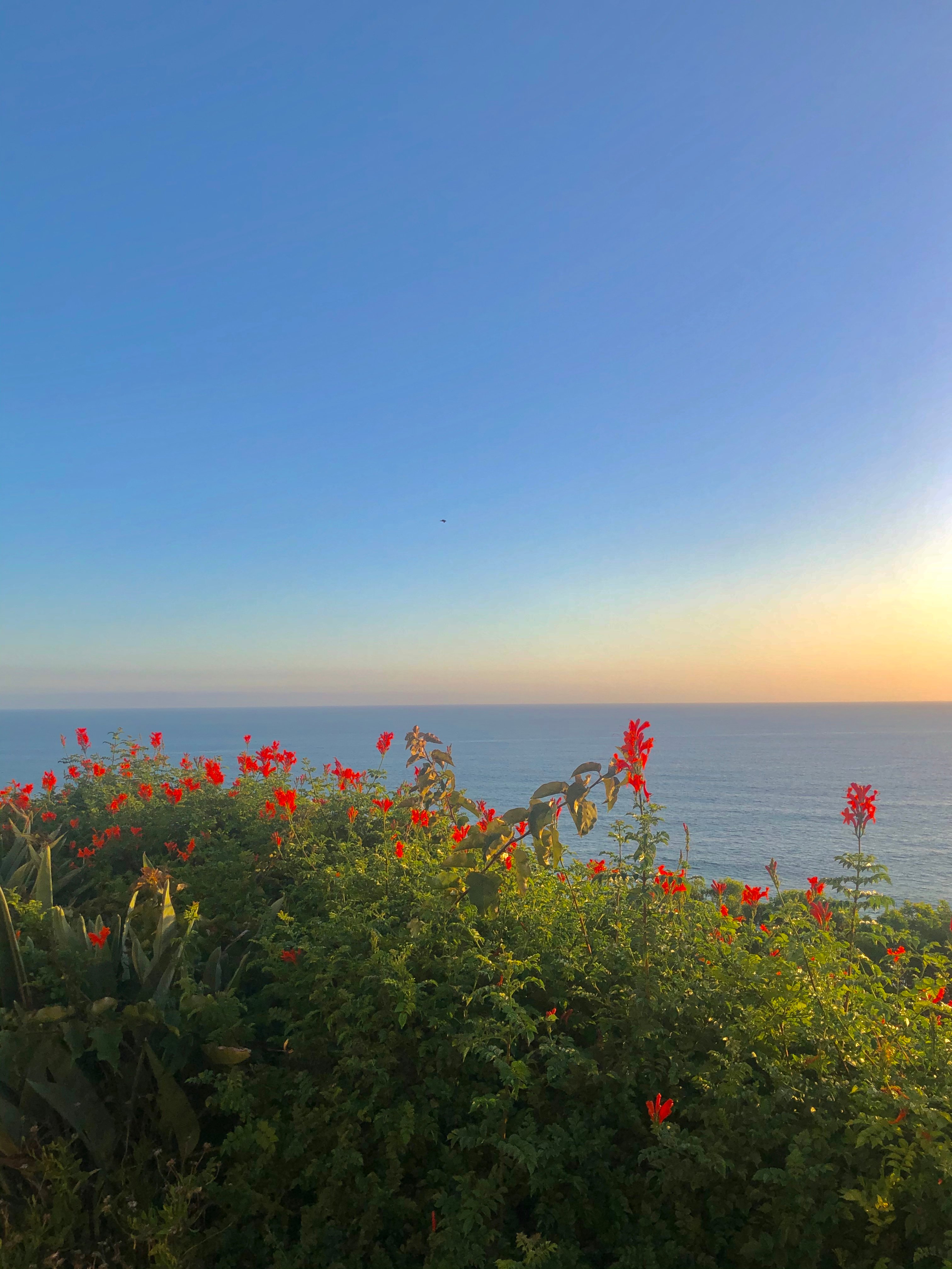 img 0980jpg by Rebecca Karlous