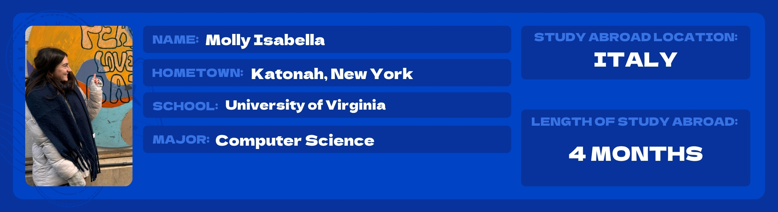 mollysew2?width=1024&height=1024&fit=cover&auto=webp&dpr=4