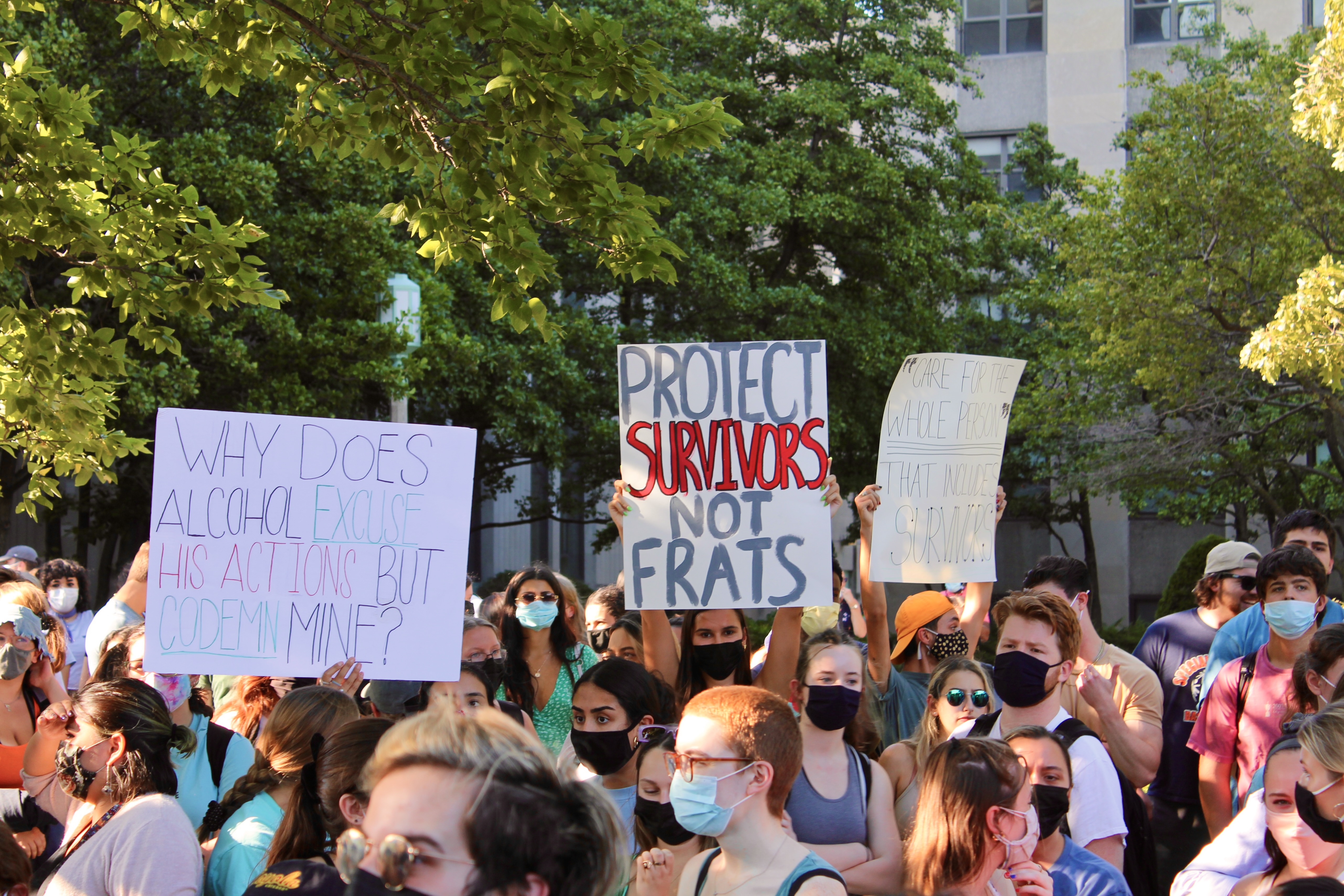 img 8950jpegjpg by Lauren Hammett