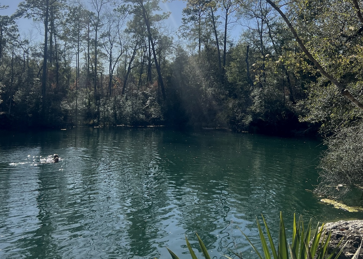 img 1282jpg by Madeline Schmidt?width=698&height=466&fit=crop&auto=webp&dpr=4