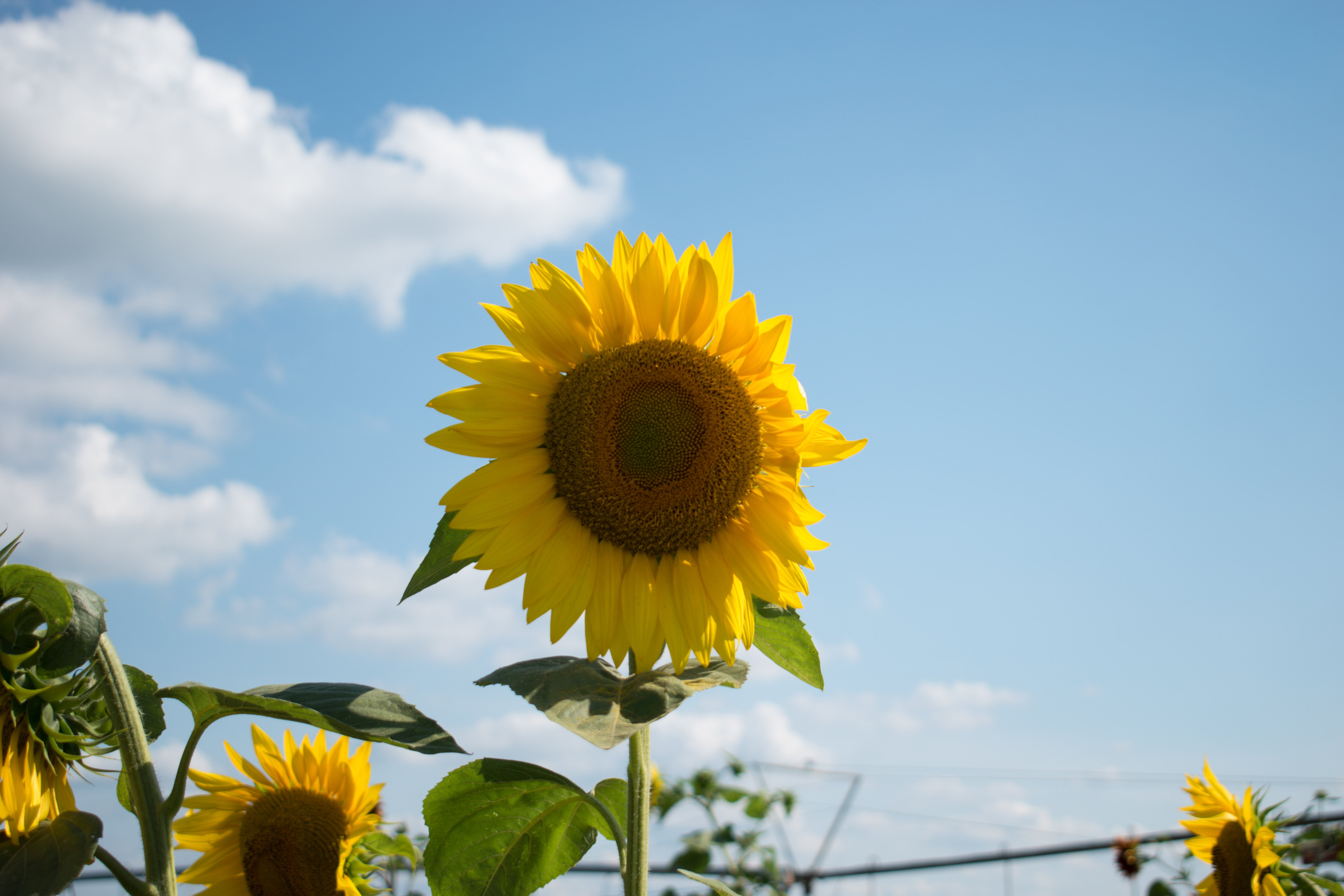 e61642e7f5f24678a1cdede809efdcffjpegjpg by Raquele Decker?width=698&height=466&fit=crop&auto=webp&dpr=4