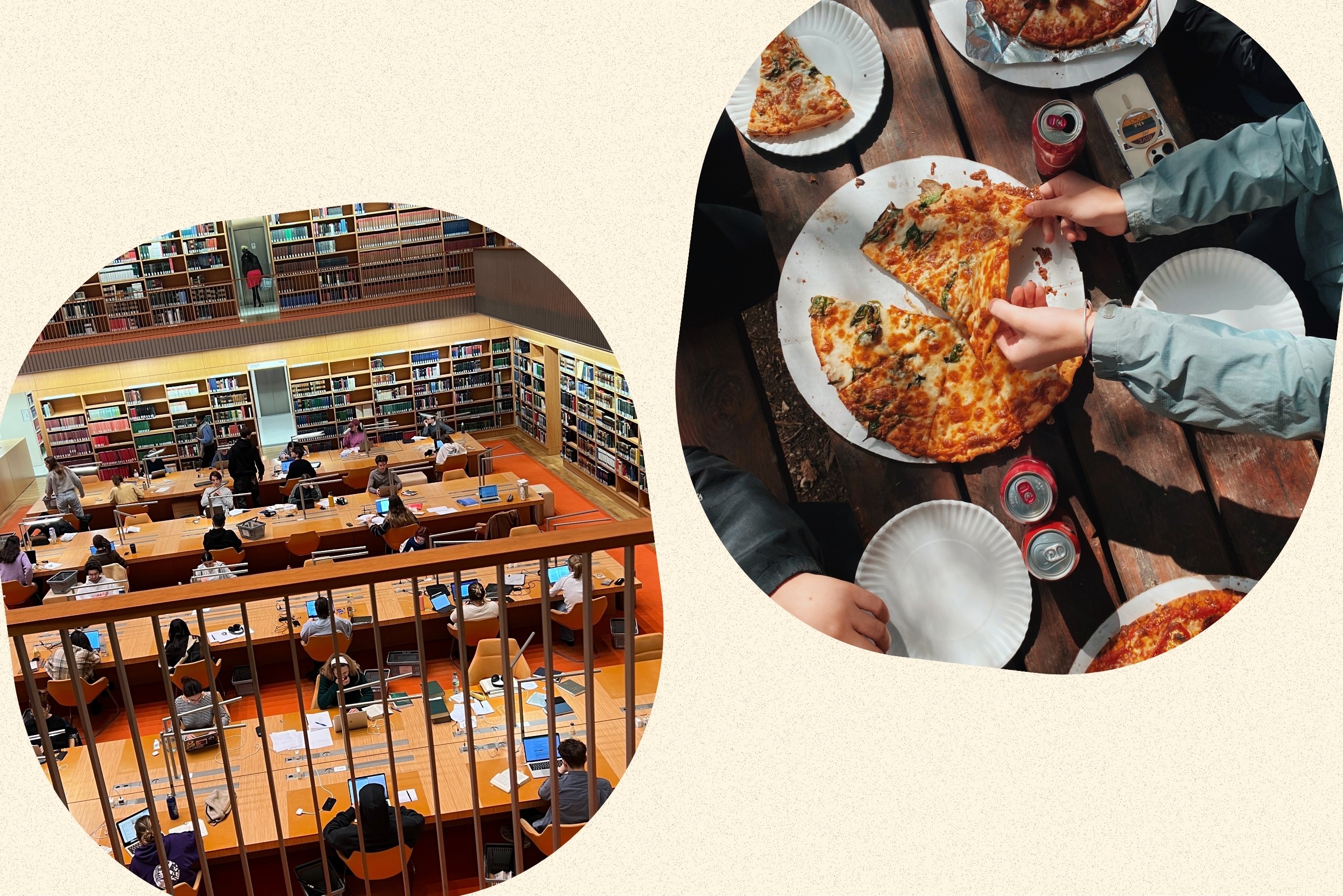 diningdollars?width=698&height=466&fit=crop&auto=webp&dpr=4