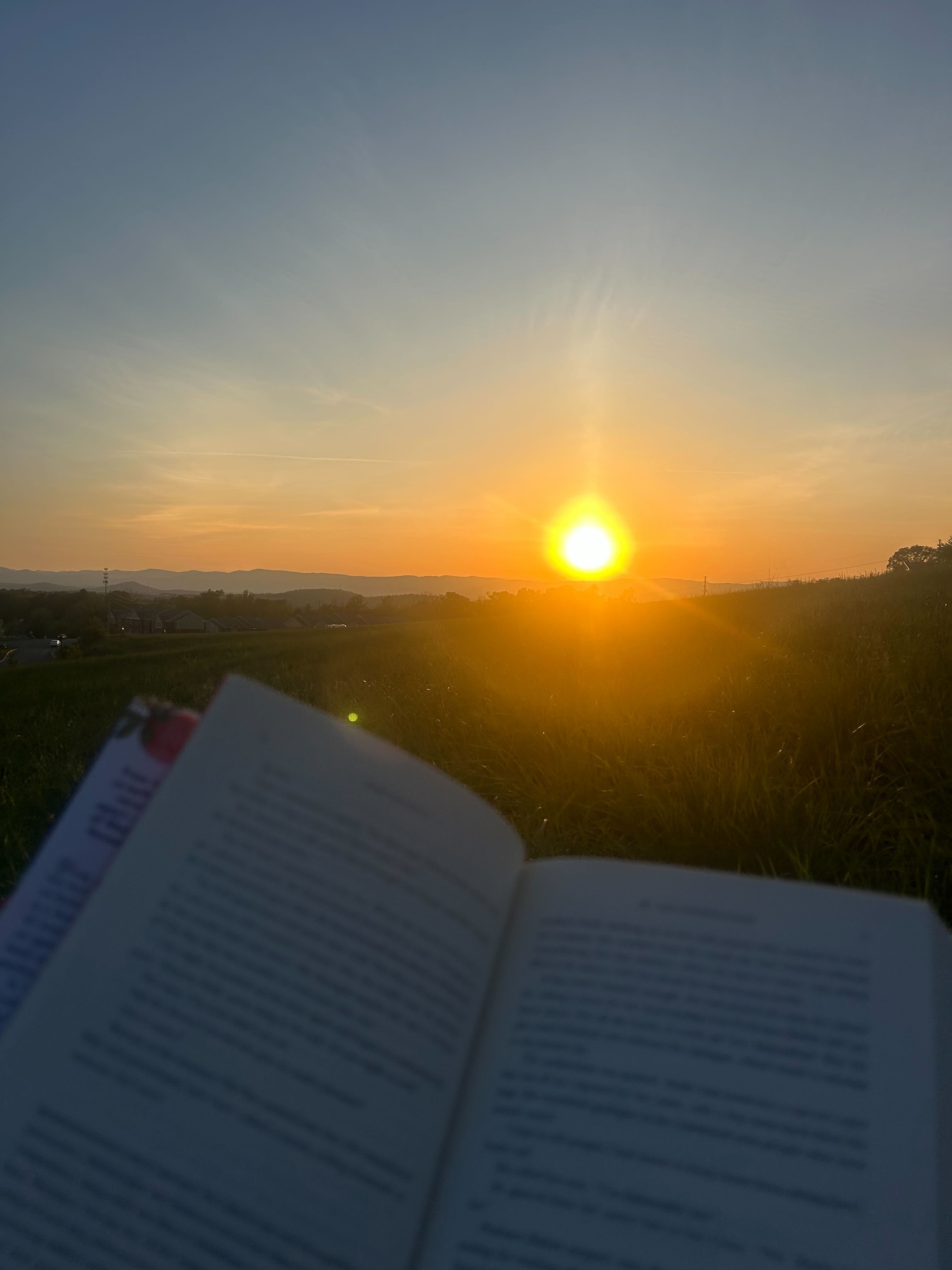 IMG 7689?width=500&height=500&fit=cover&auto=webp&dpr=4