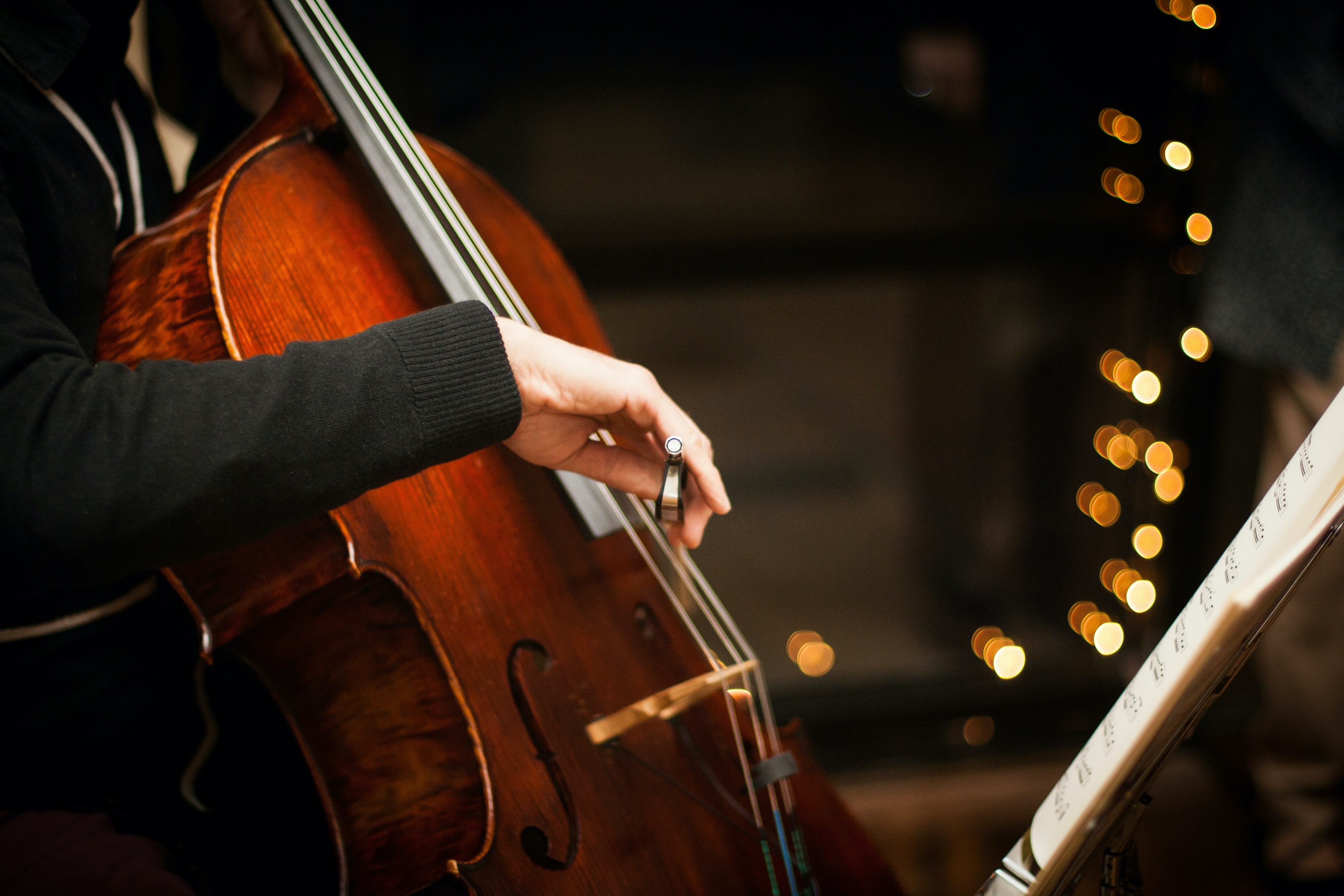 cellistjpg by Unsplash?width=698&height=466&fit=crop&auto=webp&dpr=4
