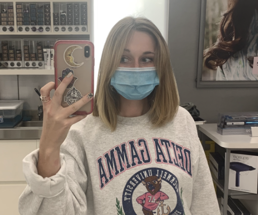 screen shot 20210212 at 160947png by Allison Gerhard