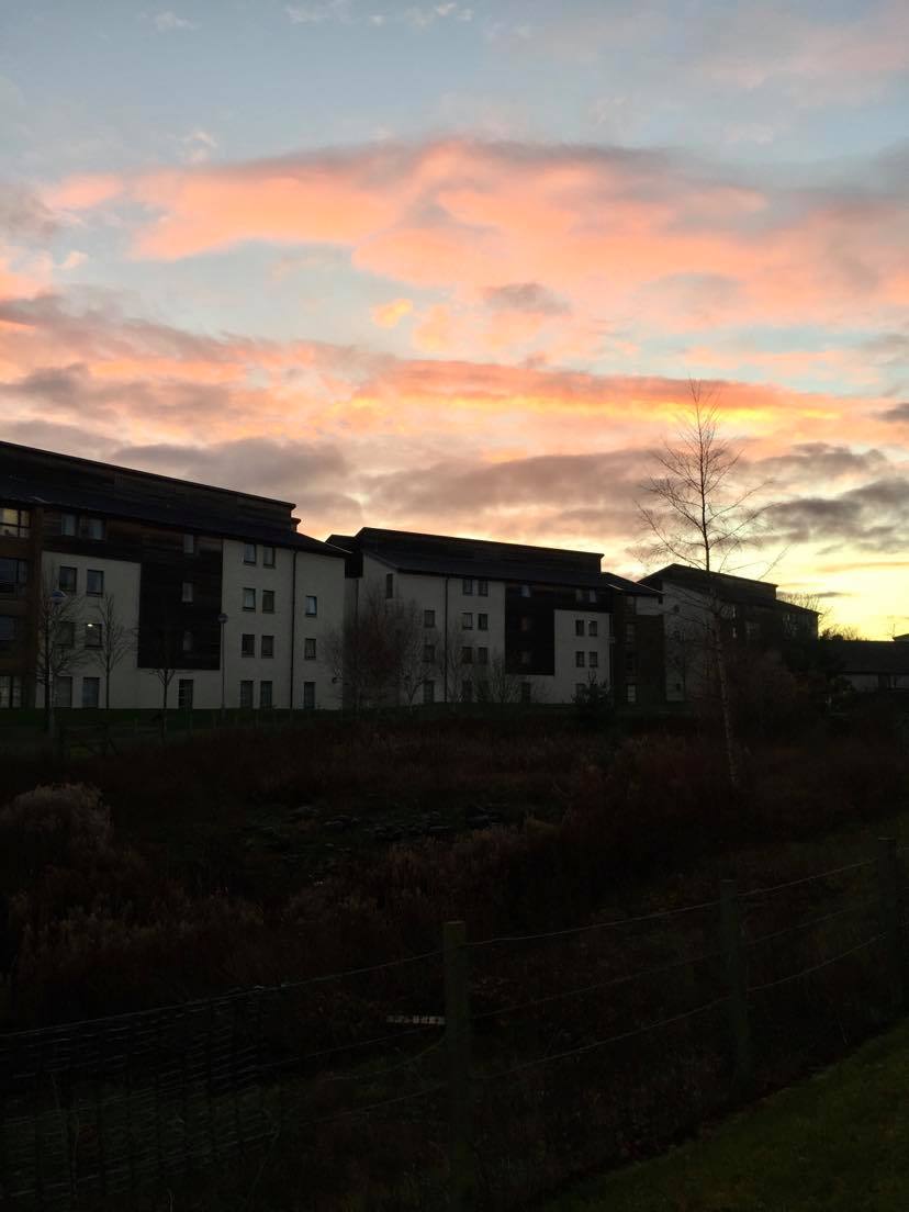 139489323 826070587952609 4084100192272481188 njpg by Charlotte Luse