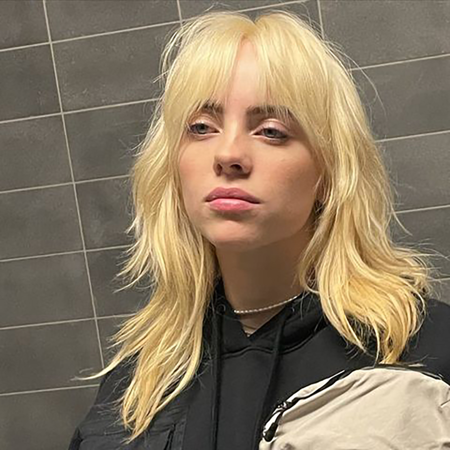 billie eilish wolf cut