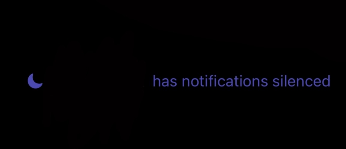 I, Carly Killingsworth, am the photographer who took a screenshot showing the notification settings on my phone. I give Her Campus U Conn and Her Campus Media permission to use my photos in an article about using \'Do Not Disturb\' as a tool for prioritizin