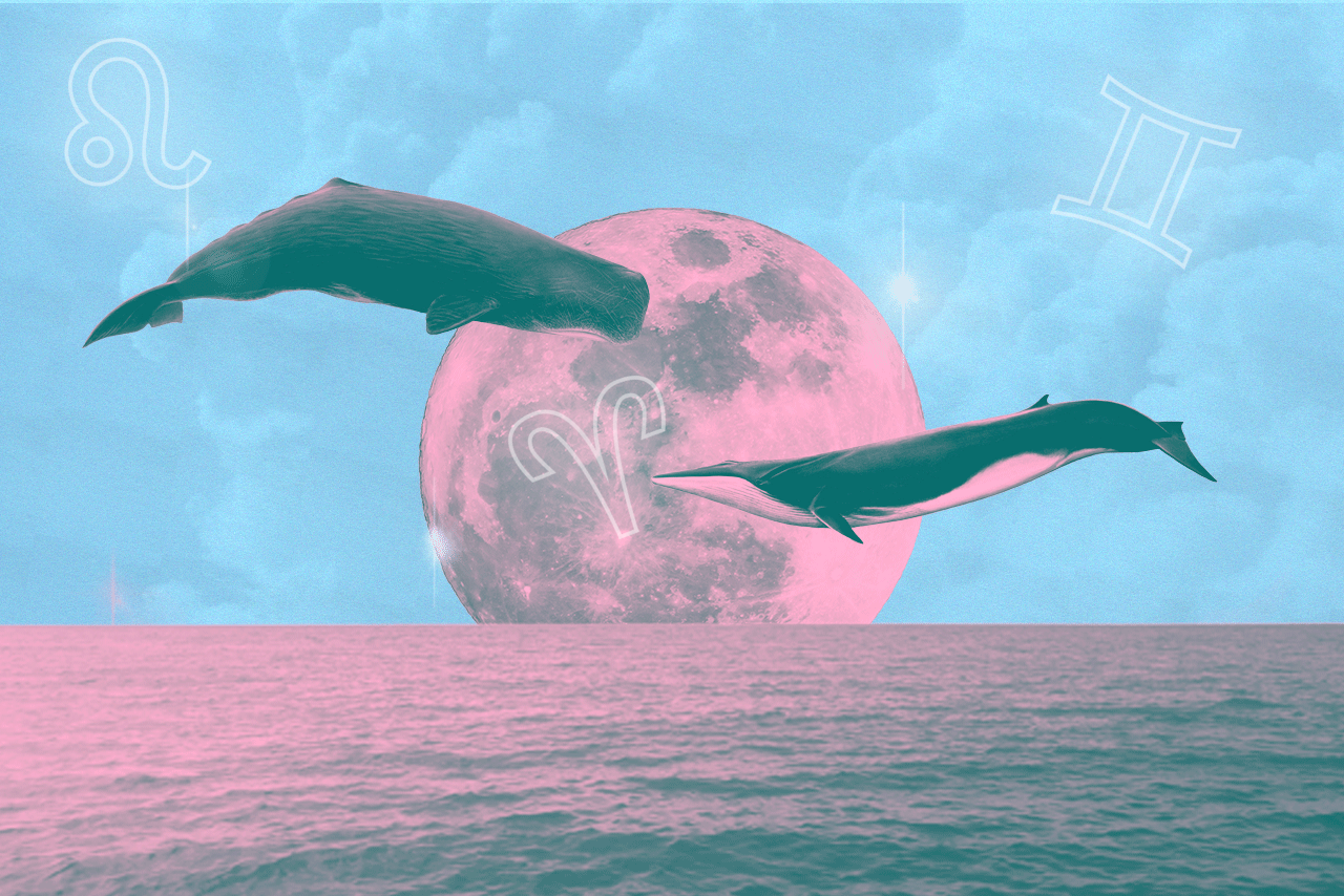 signs of the times?width=698&height=466&fit=crop&auto=webp&dpr=4