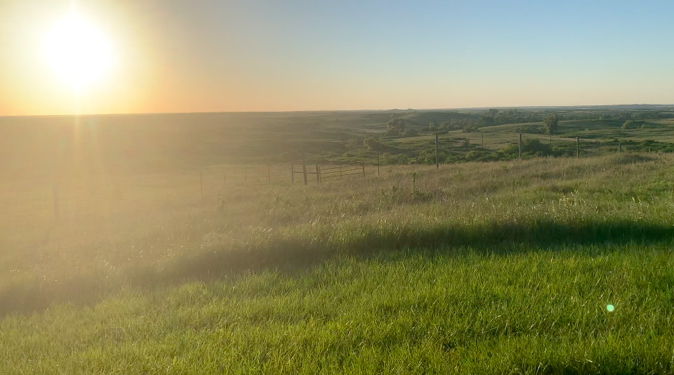 fieldspng by Morgan Van Der Wege