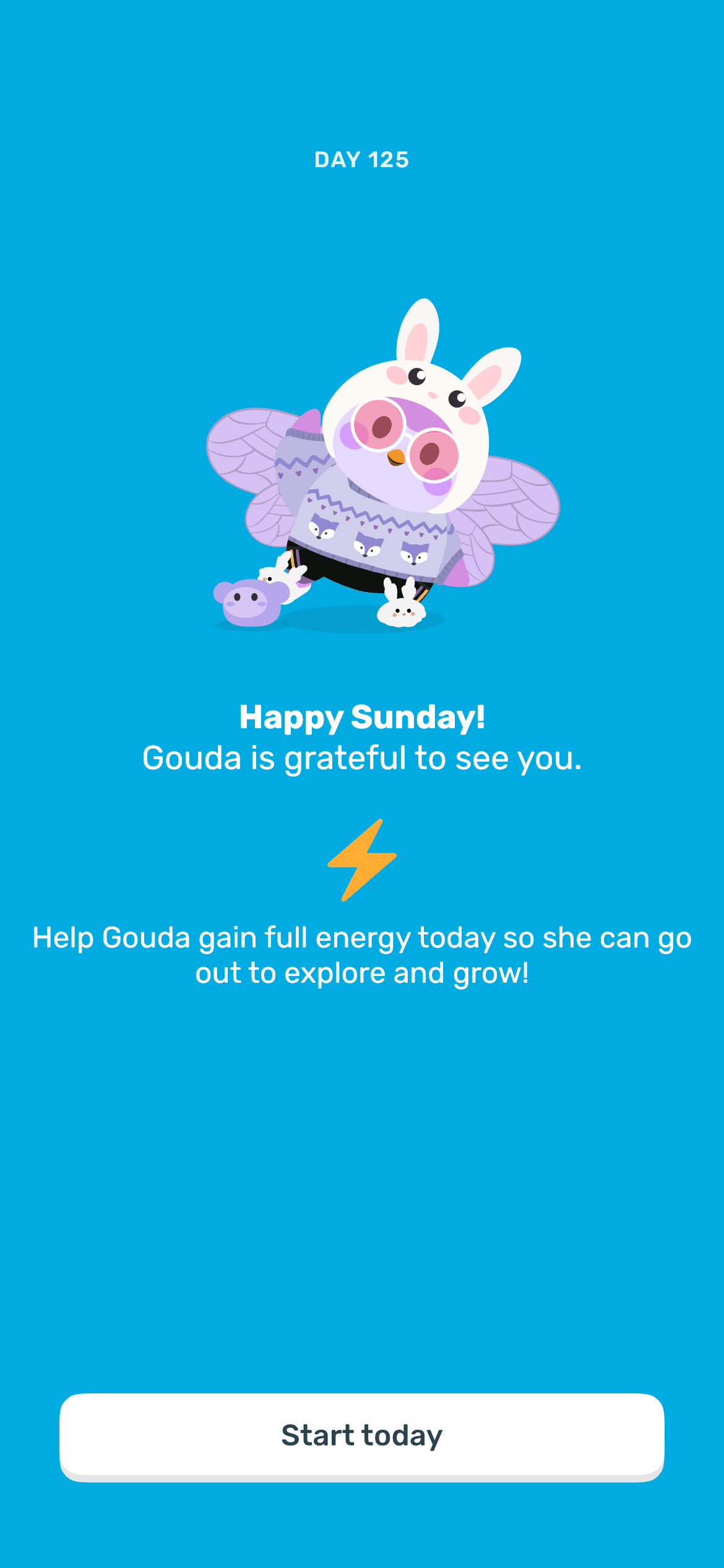 IMG 9257?width=500&height=500&fit=cover&auto=webp&dpr=4