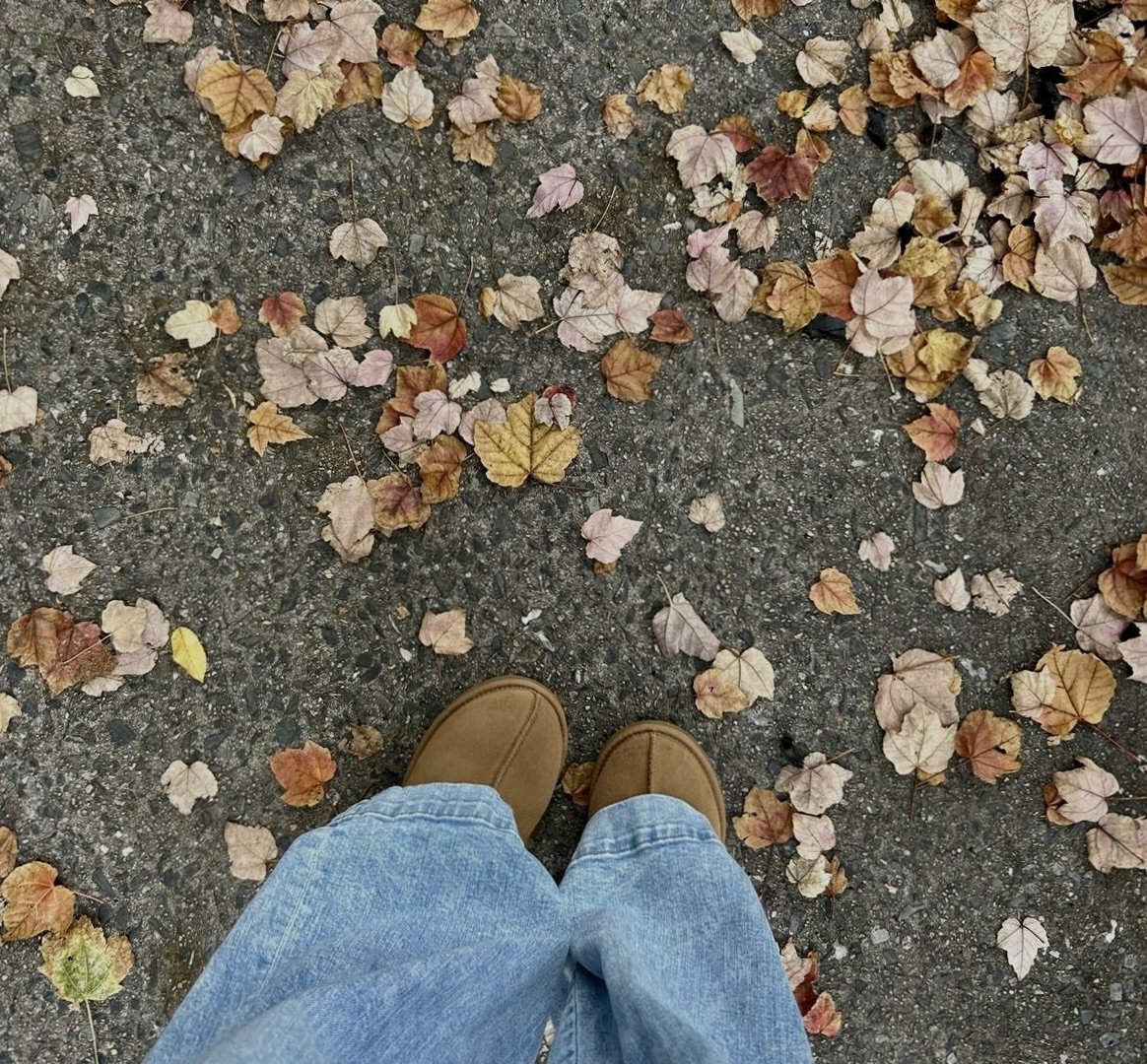 fall on wvu\'s campus
