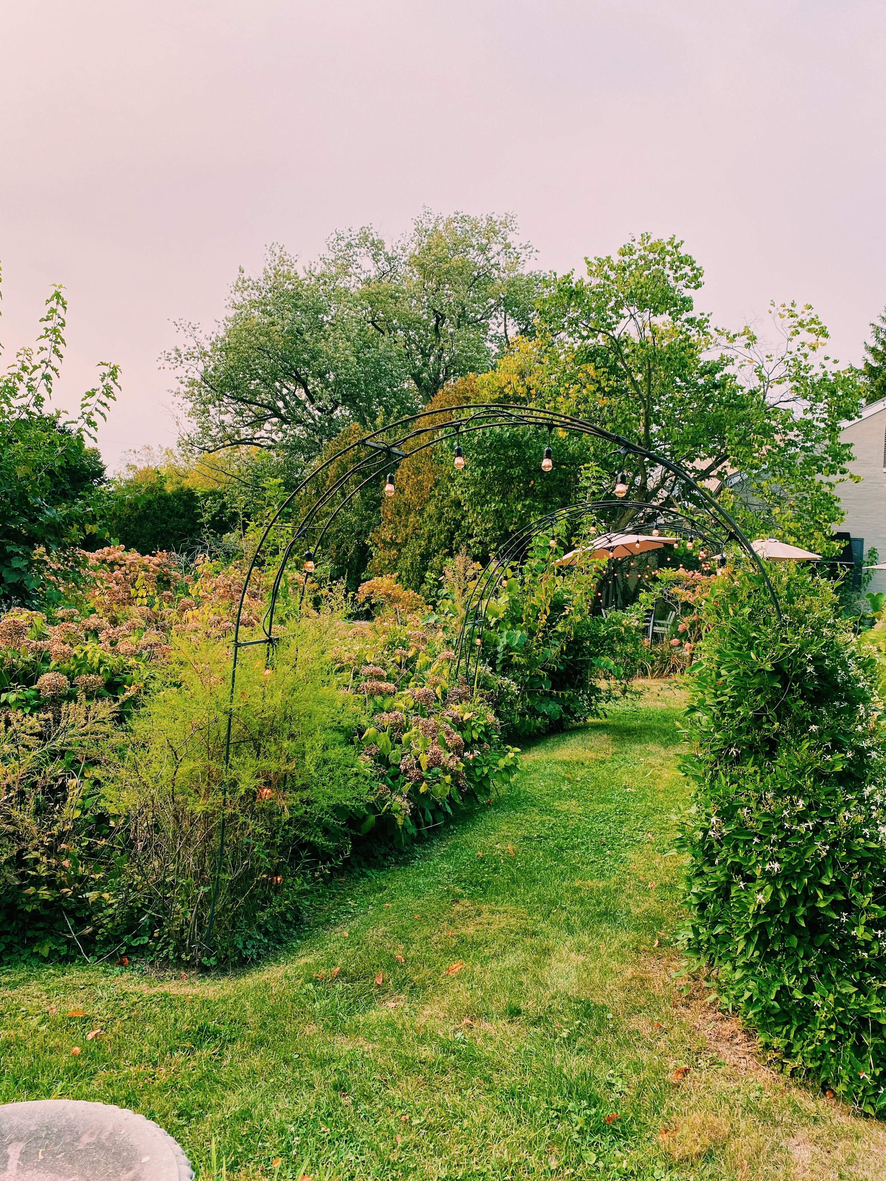 carriage house, garden, grass, walking, fall