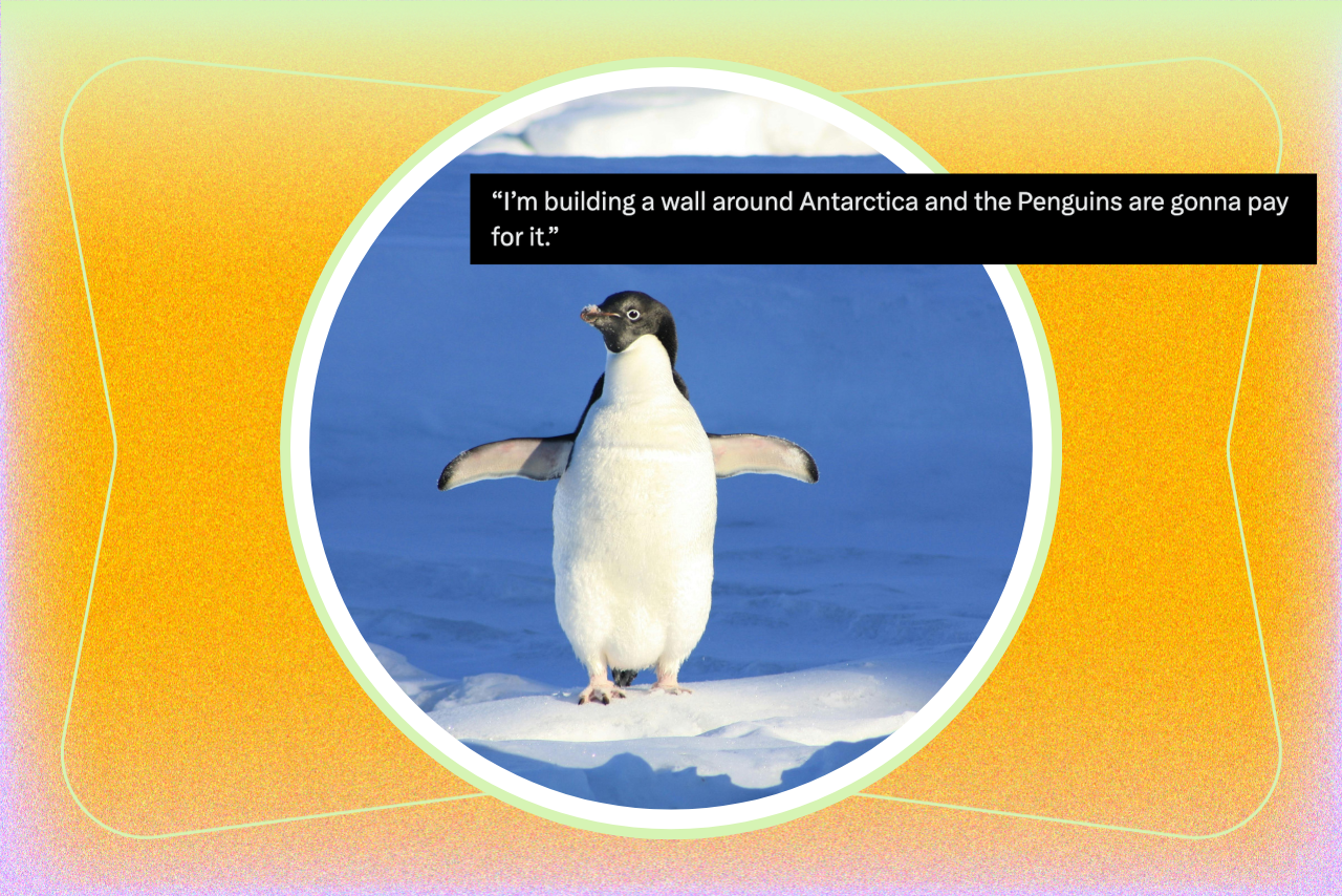 Penguin tariff memes?width=698&height=466&fit=crop&auto=webp&dpr=4