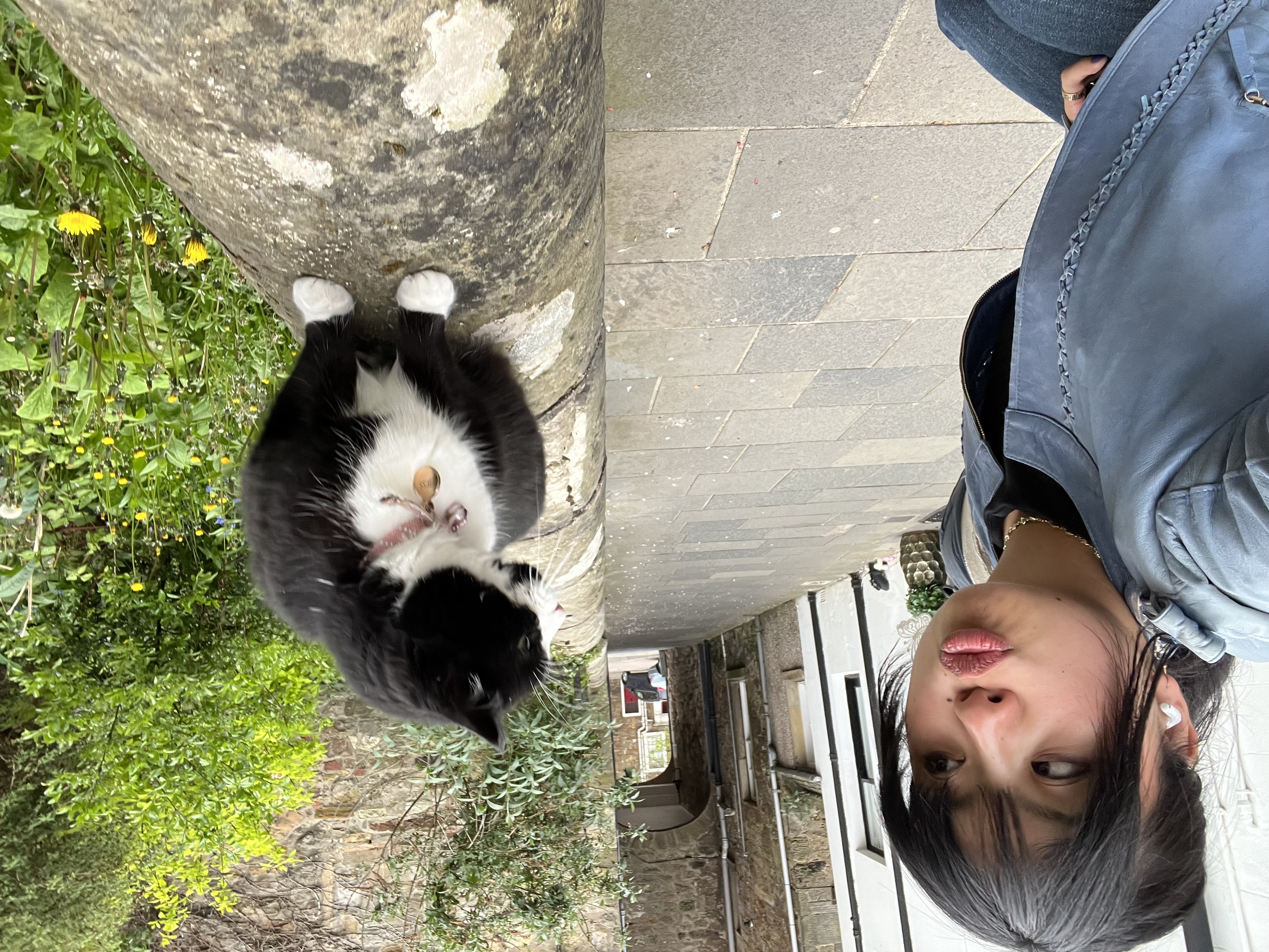 Baker Lane Cat (and me)