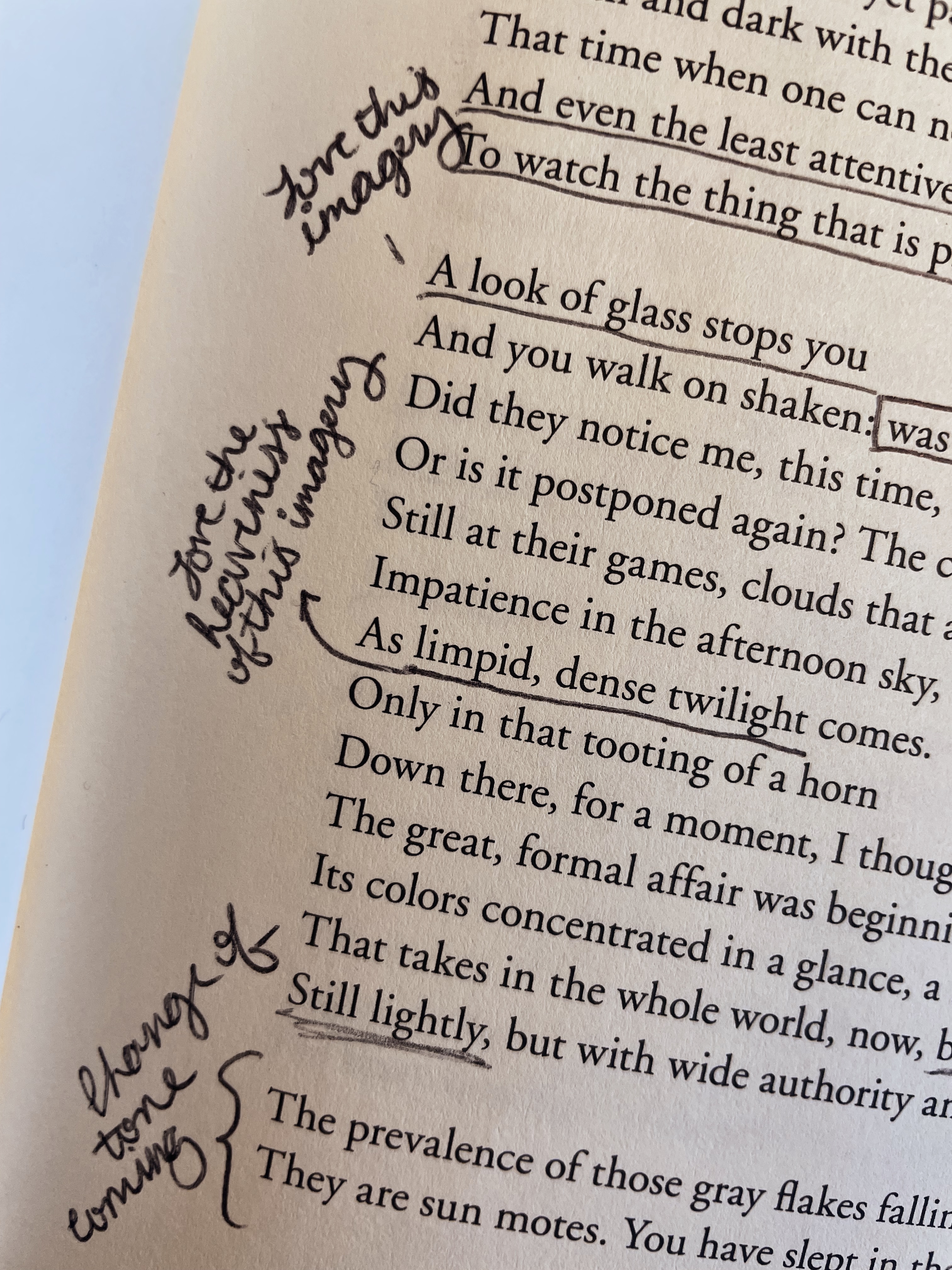 img 9439jpg by Kylee Kropf