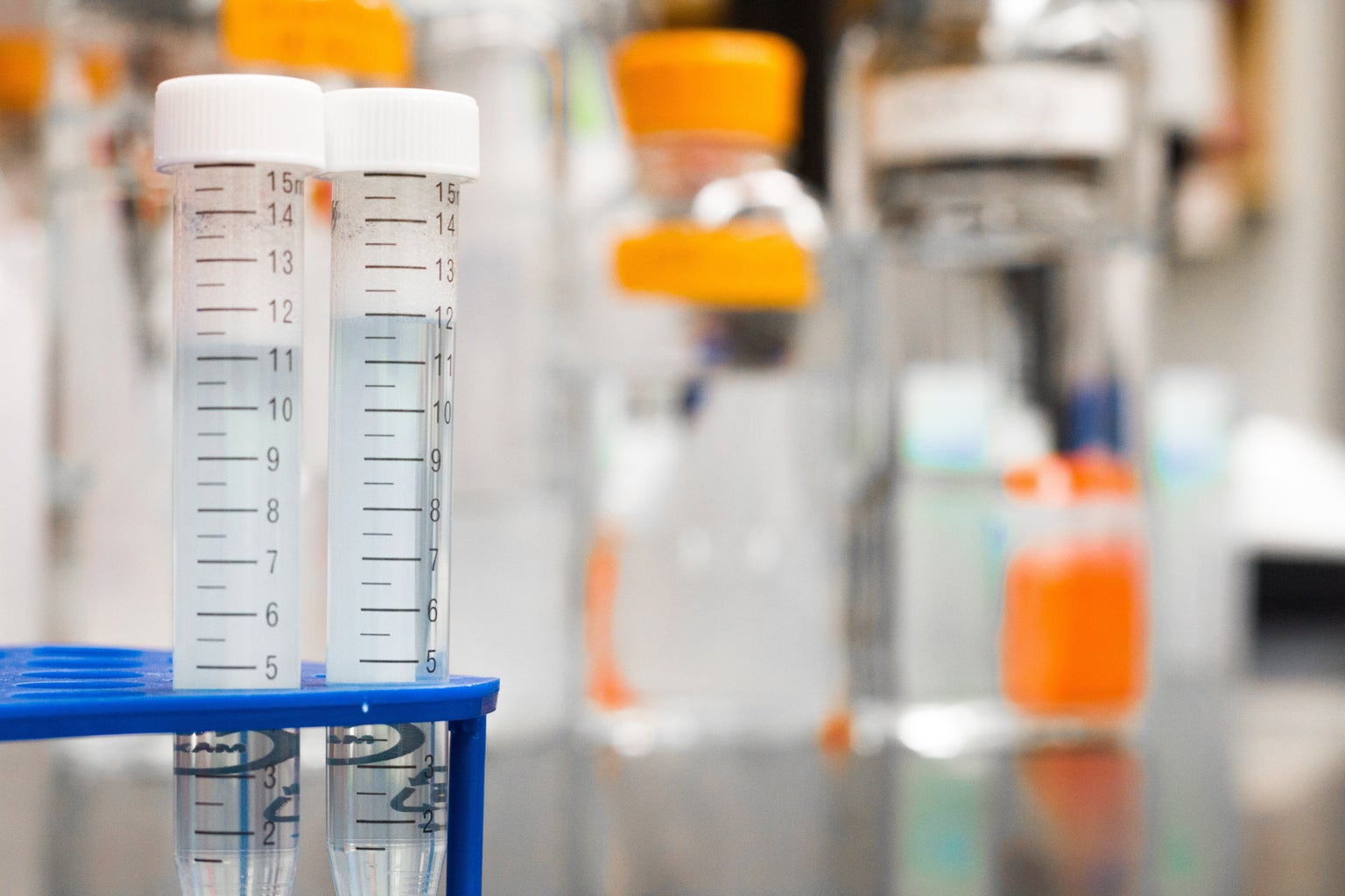 two test tubes in blue holder