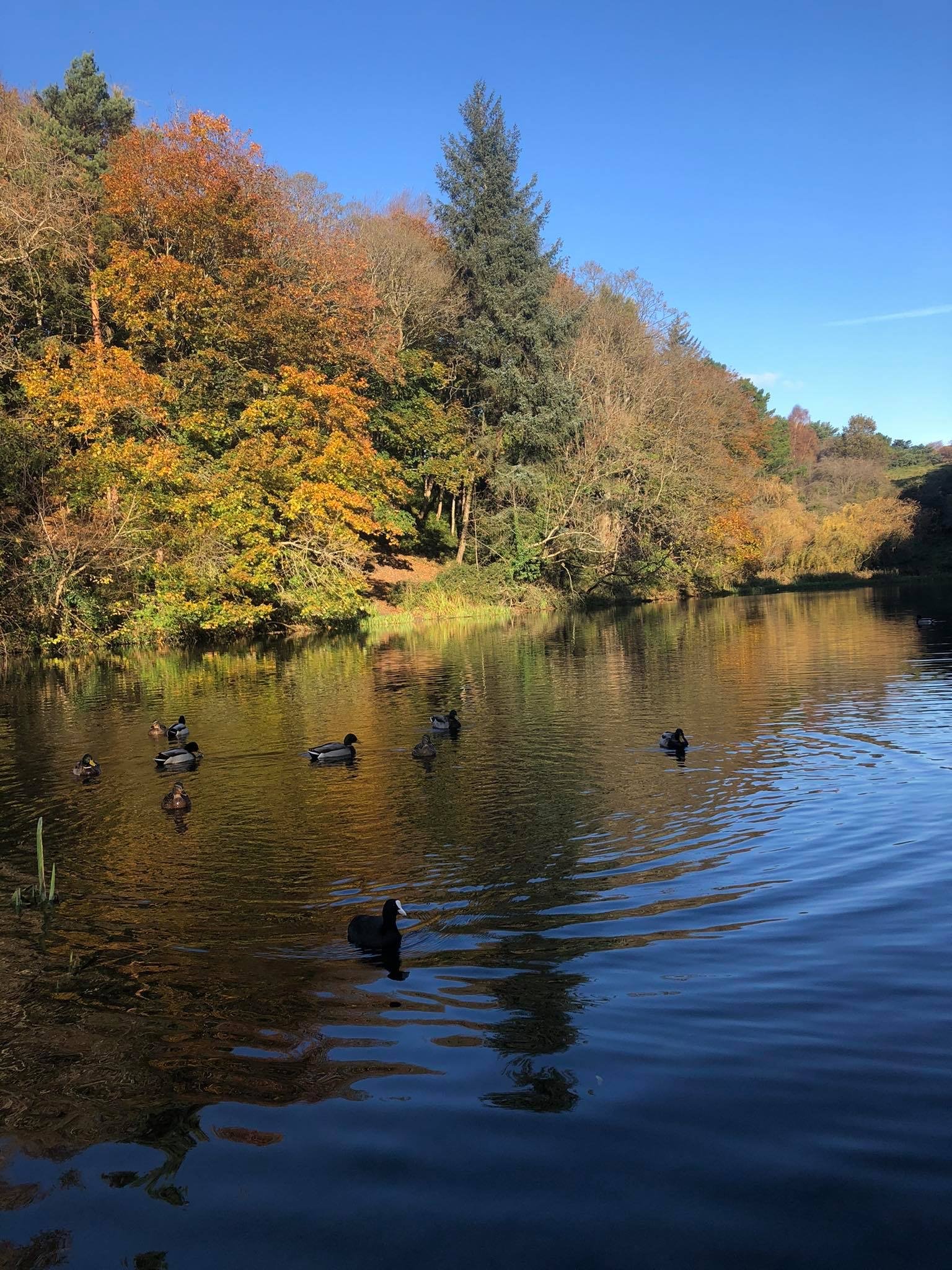 north dublin by Aoife McGeough