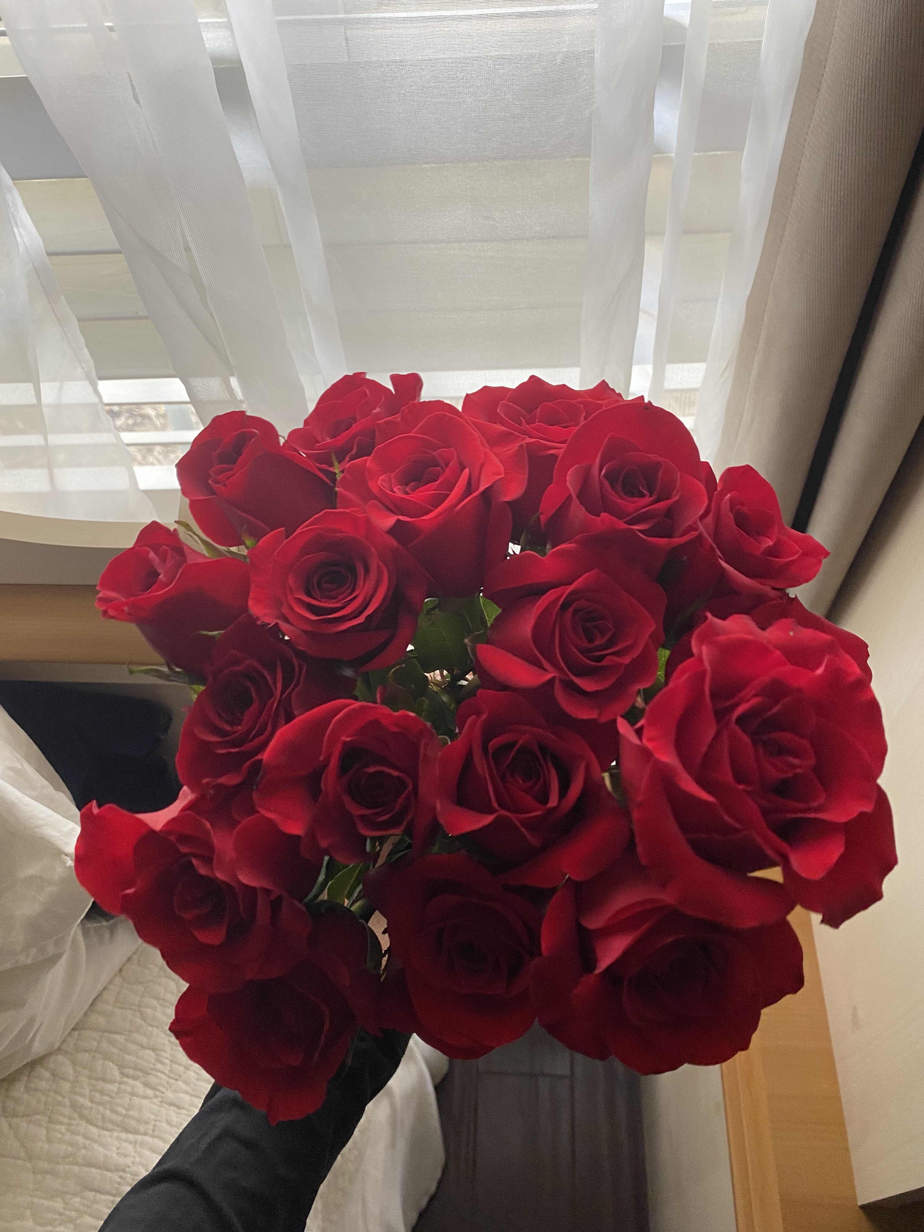 roses wojpg by Alejandra Puente?width=698&height=466&fit=crop&auto=webp&dpr=4