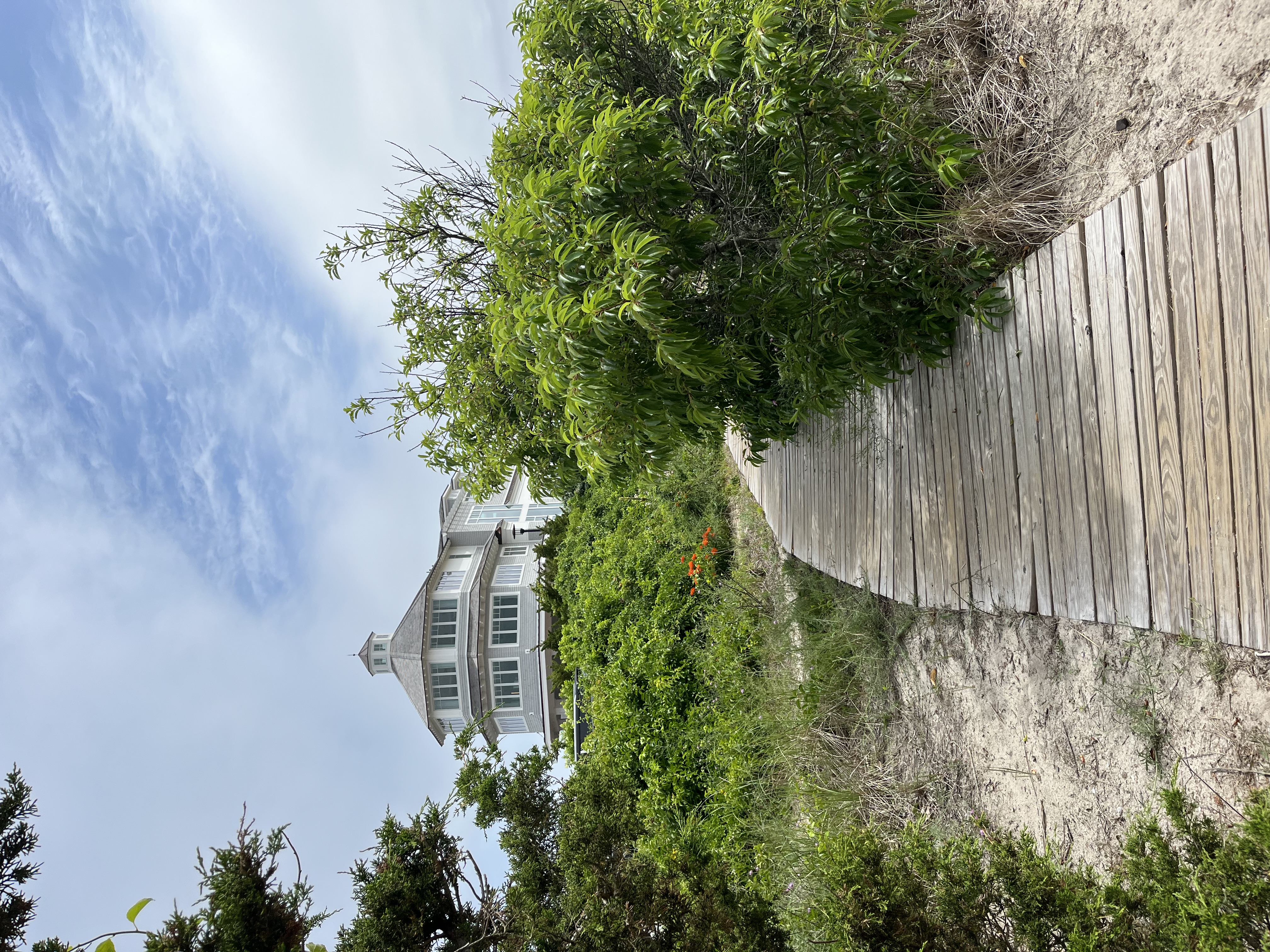 Cape Cod
