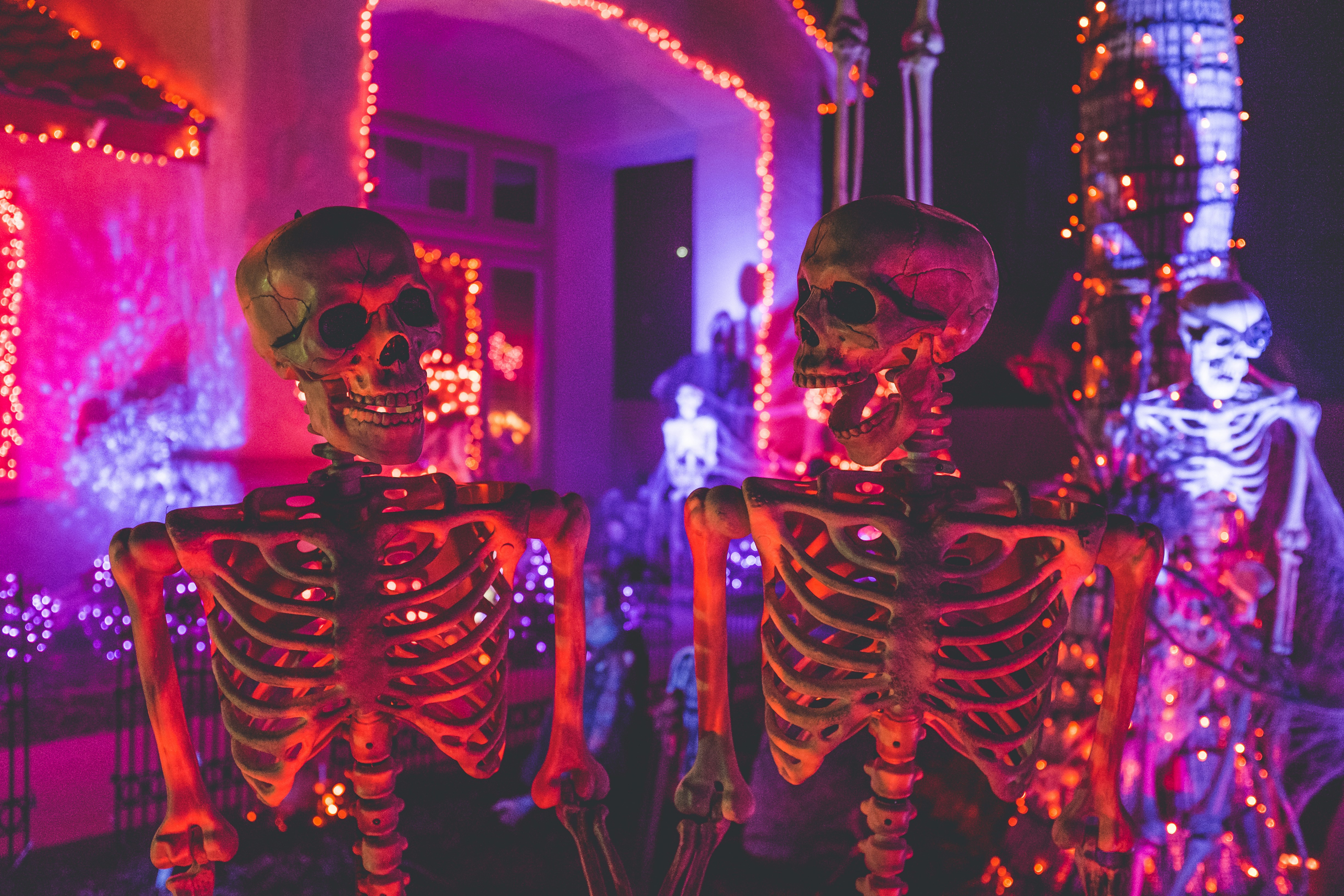 two skeletons