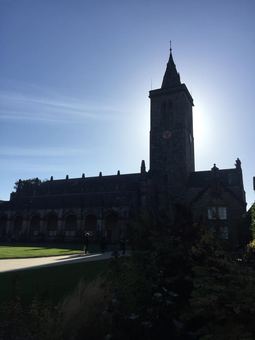 St Andrews Silhouette in Sallies Quad