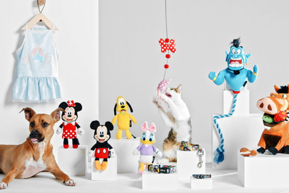 Social Her Campus Hero images 1