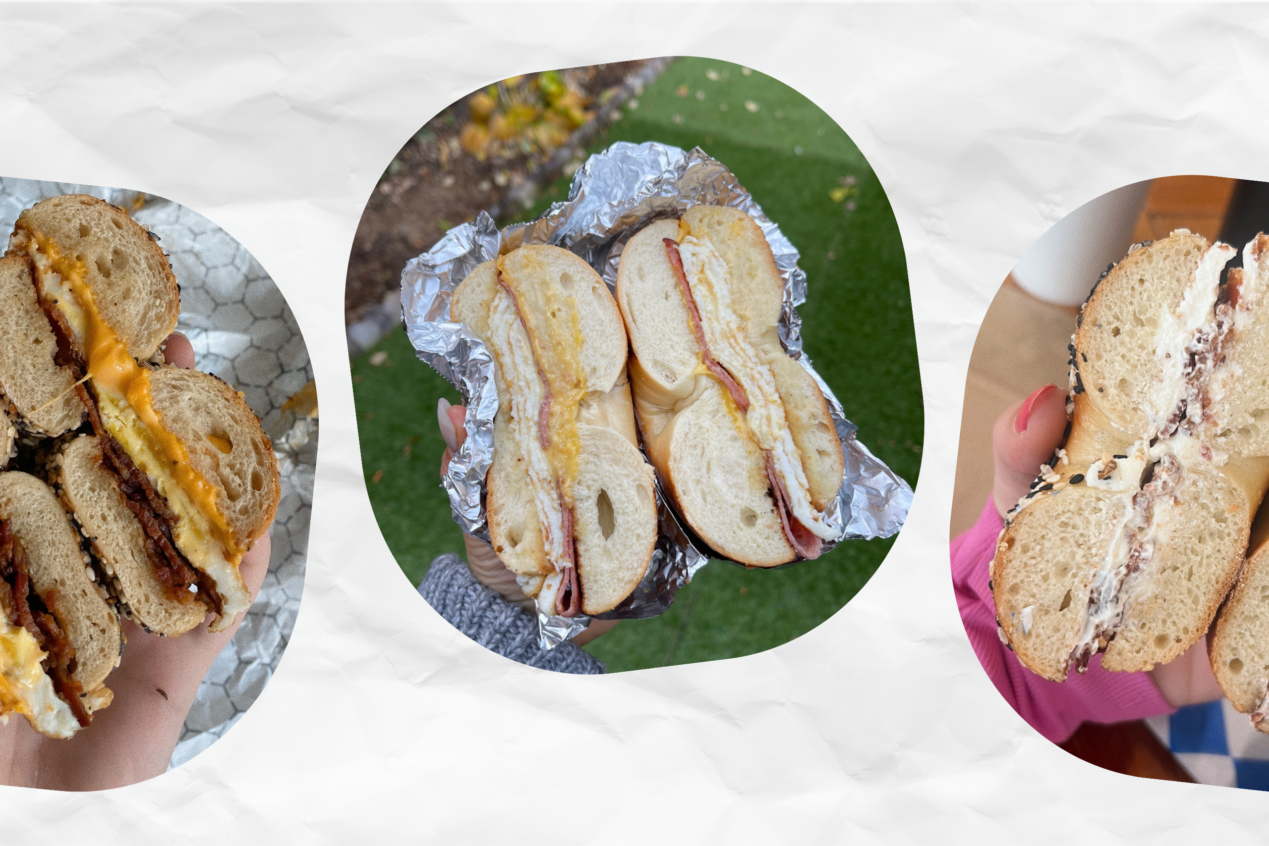 national bagel day?width=698&height=466&fit=crop&auto=webp&dpr=4