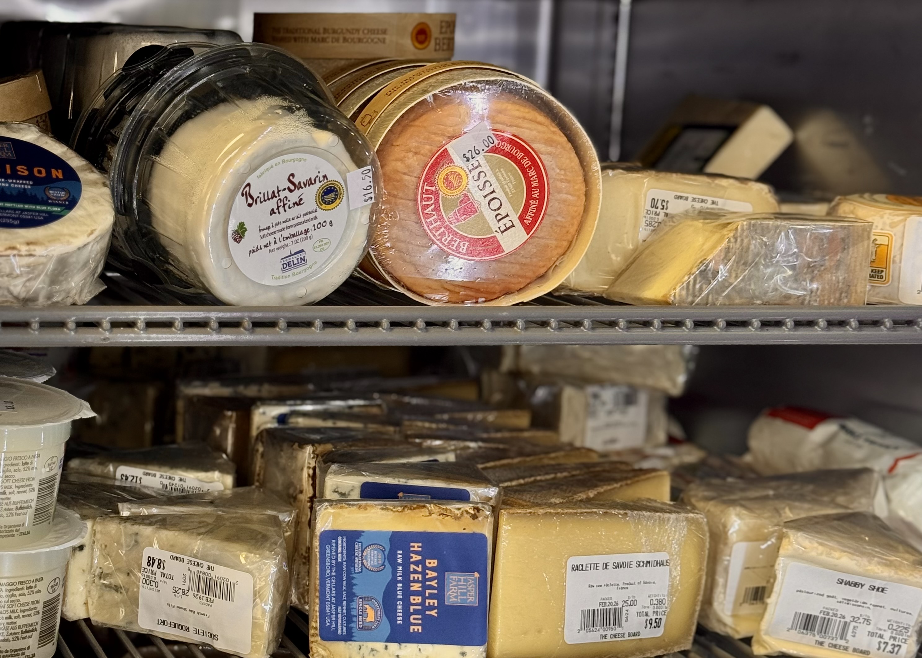 img 2505jpegjpg by Josephine Ramlie?width=734&height=489&fit=crop&auto=webp&dpr=4