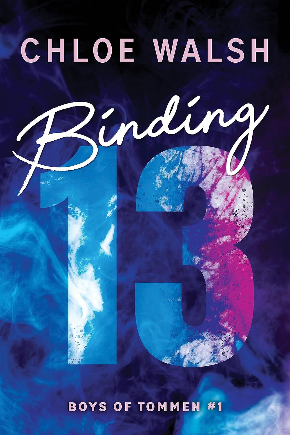 Book Cover: Binding 13