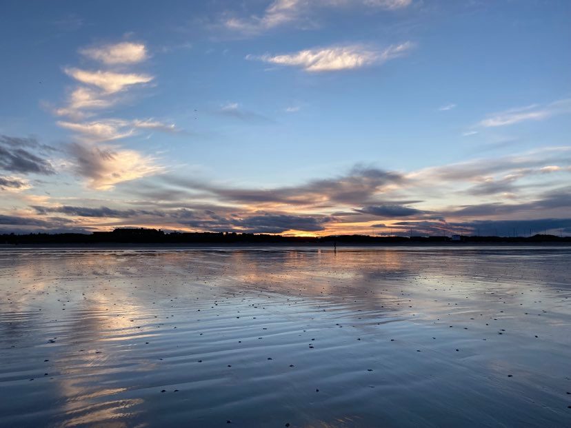 243059139 251824620287247 7013260097427475882 njpg by Charlotte Luse?width=698&height=466&fit=crop&auto=webp&dpr=4