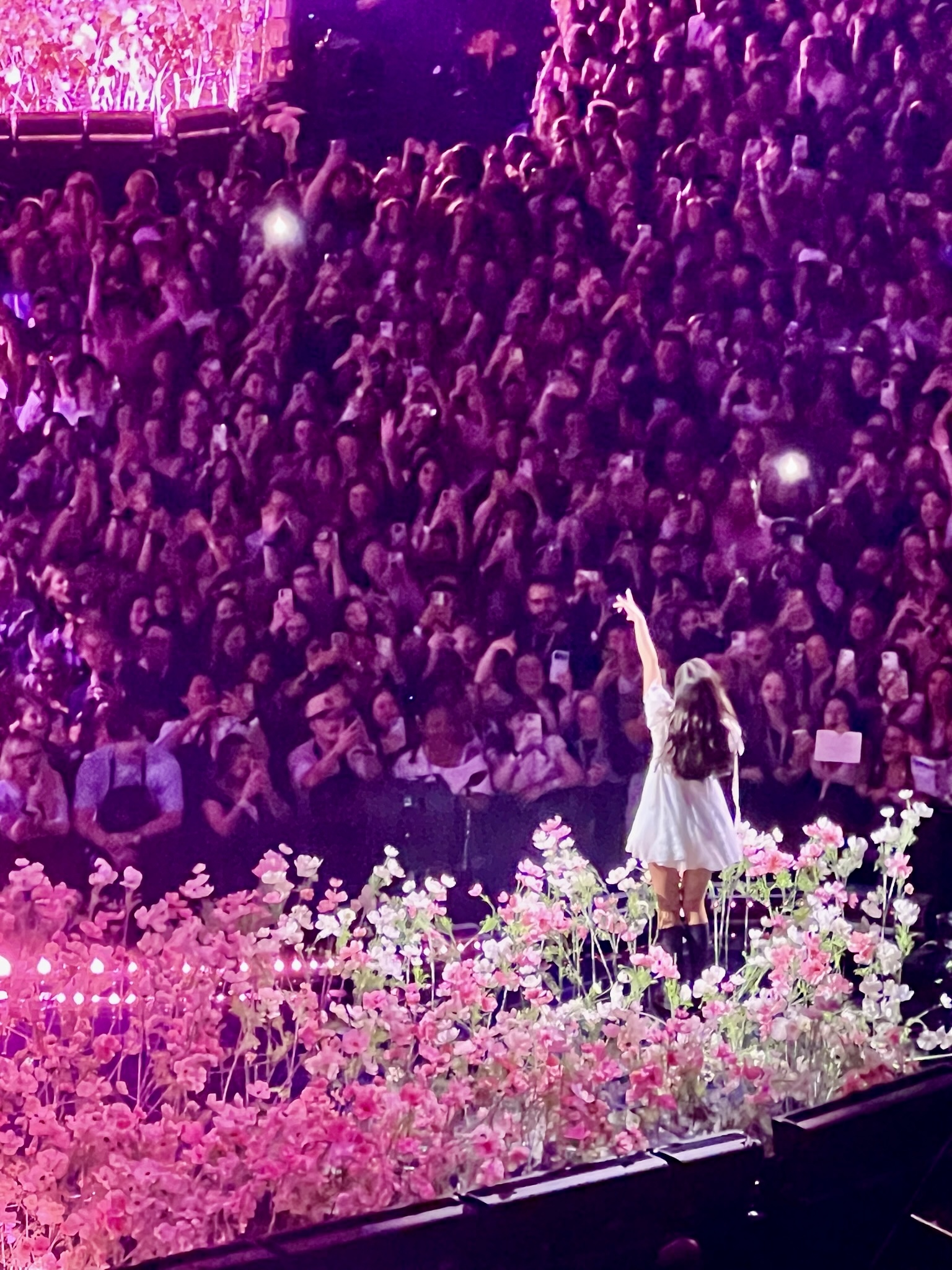 Image of The Unraveled Tour of Olivia Rodrigo Singing