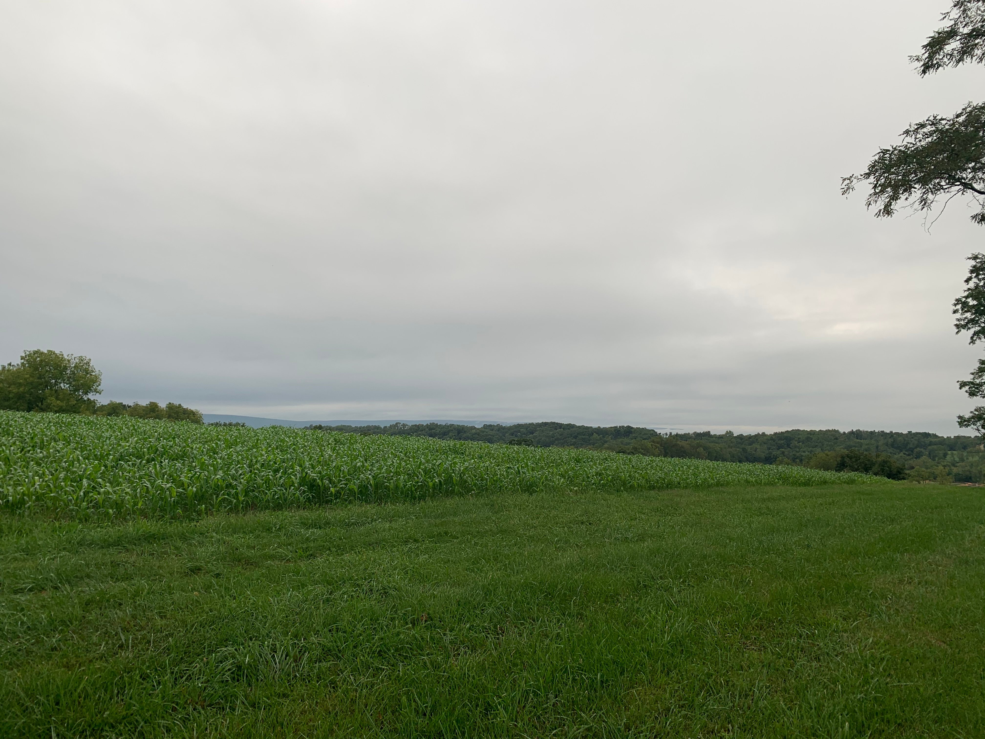 Picture of Nature in PA