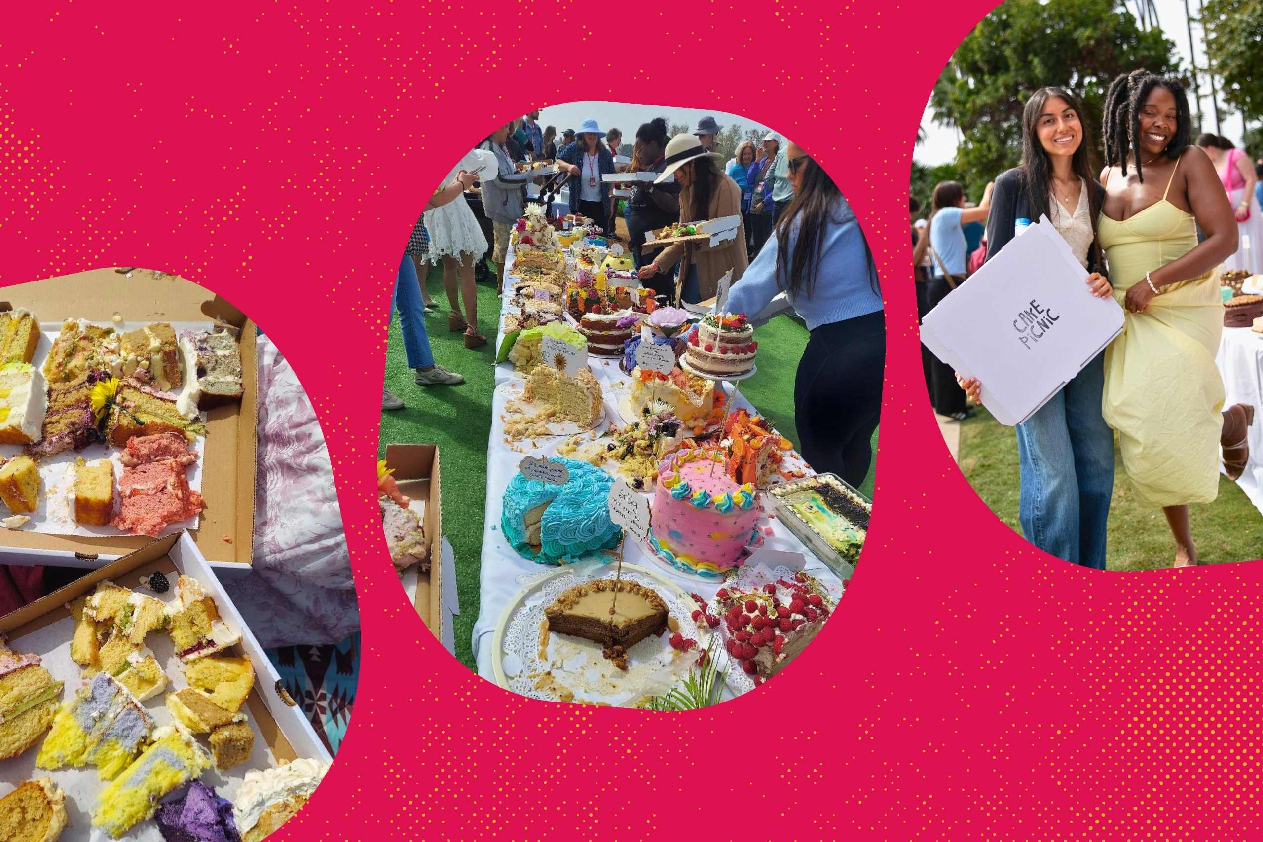 cakepicnic?width=698&height=466&fit=crop&auto=webp&dpr=4