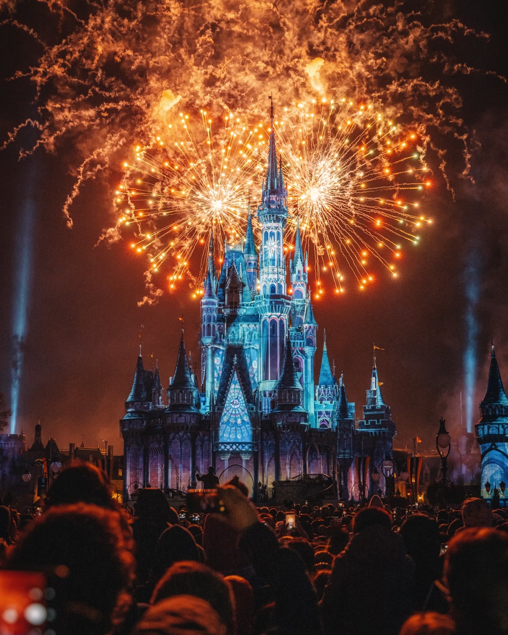 Disneyland castle with fireworks
