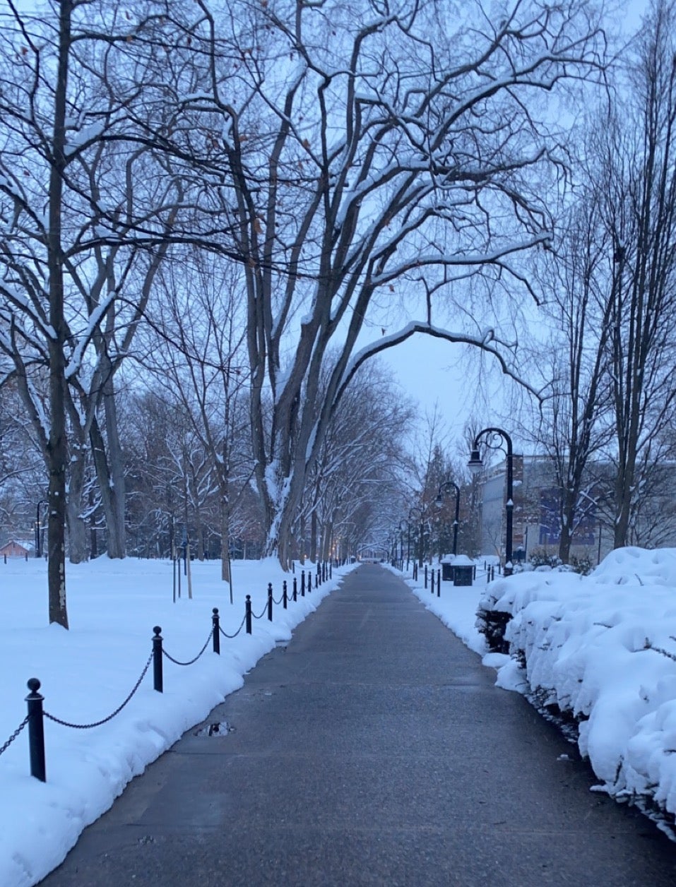 Snow around Old Main on PSU Main Campus