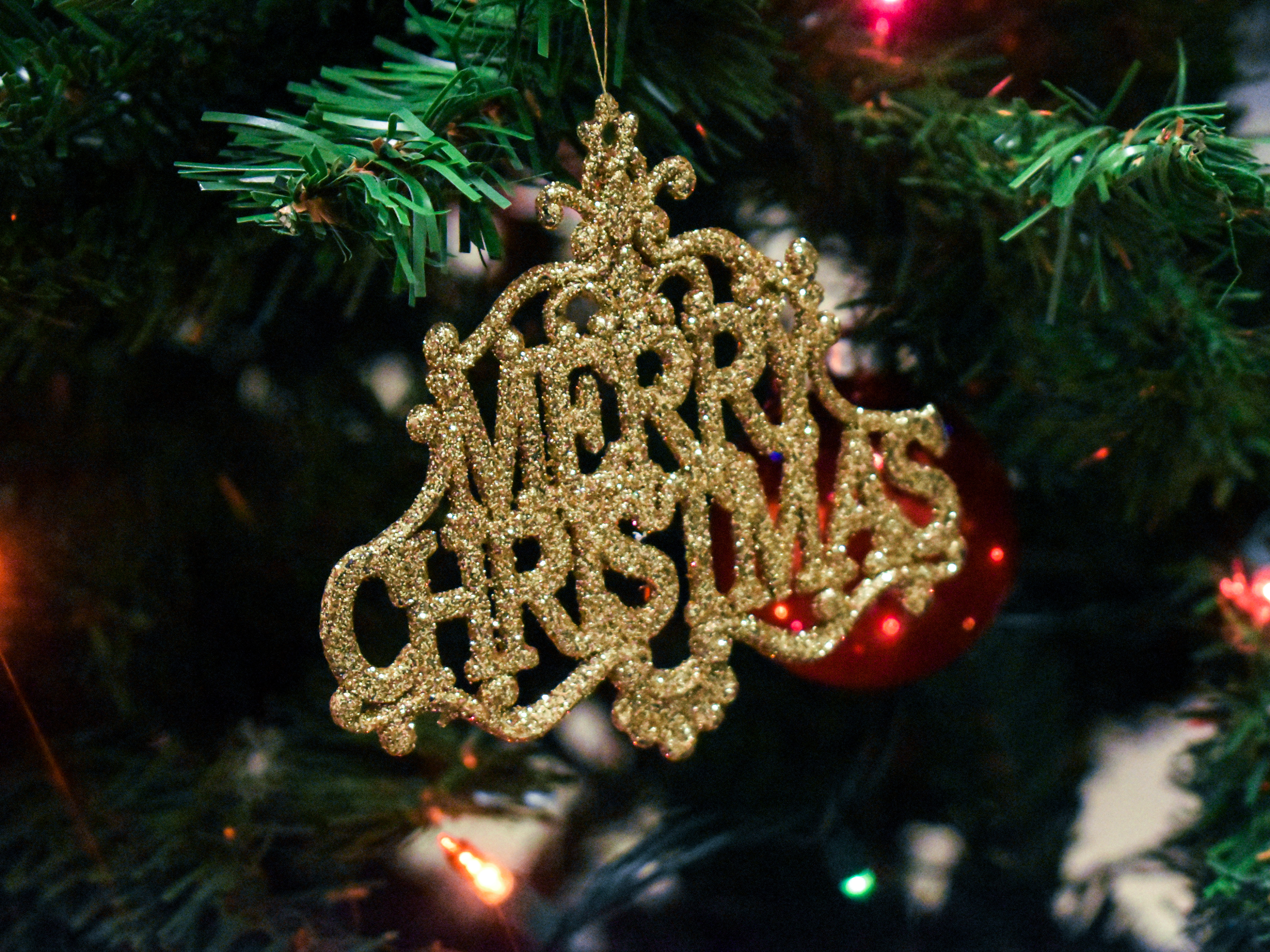 Merry Christmas sign on a tree