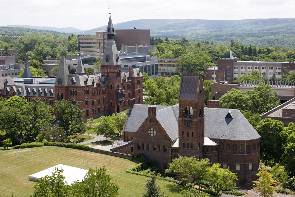 cornell sun exclusive