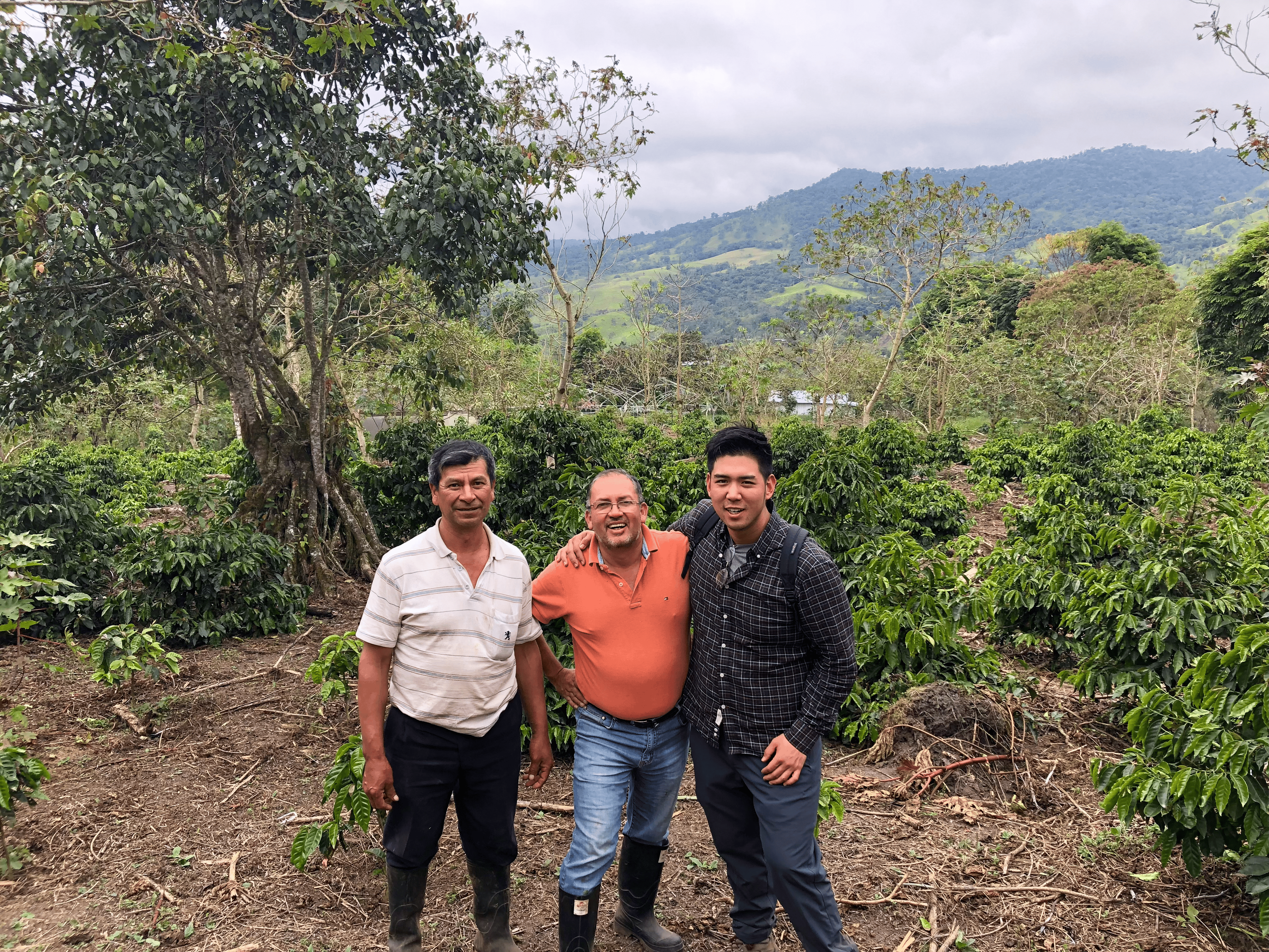 COBA peter at coffee farm