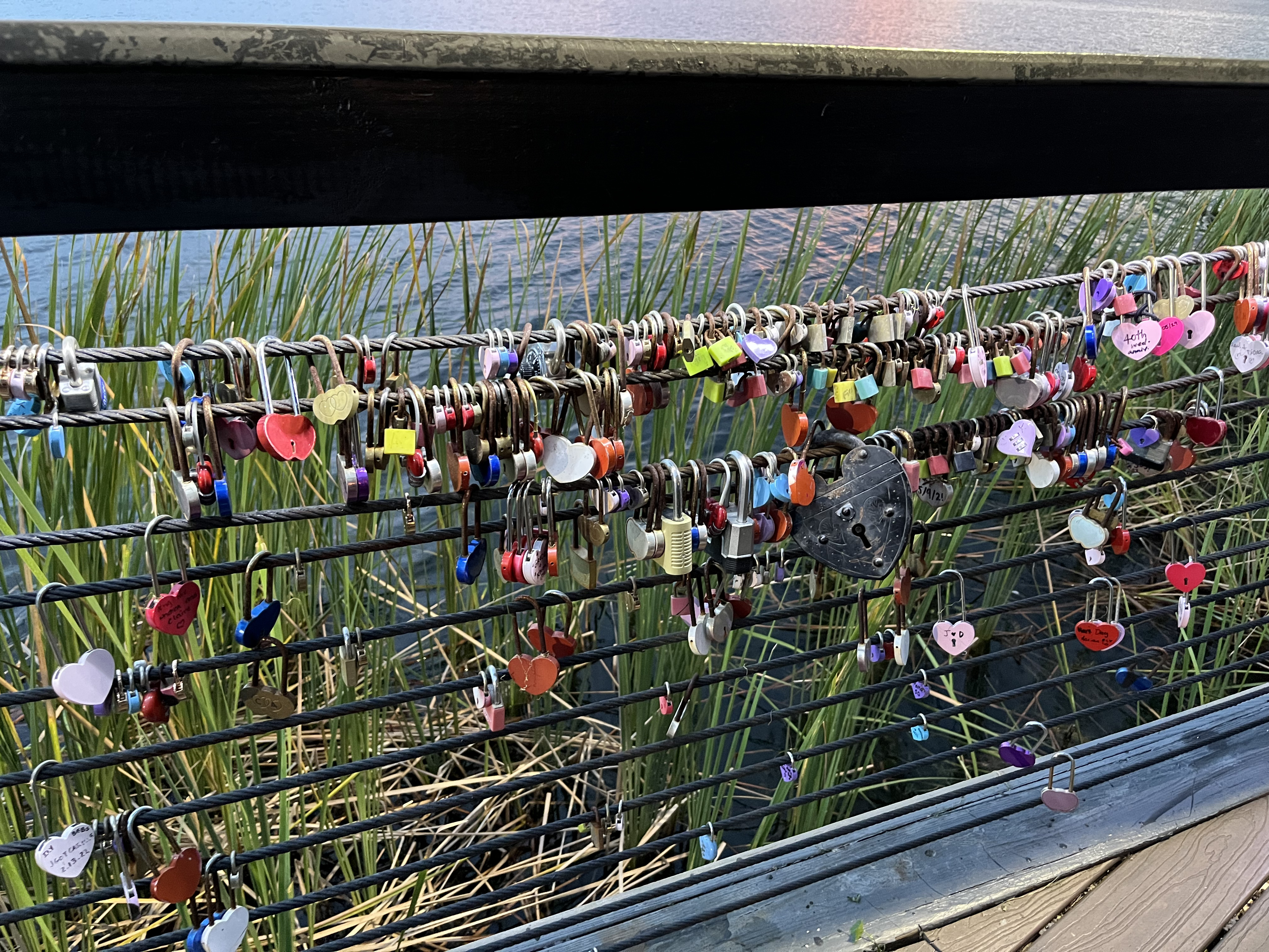 img 1292jpg by Sarah Cedeno?width=698&height=466&fit=crop&auto=webp&dpr=4