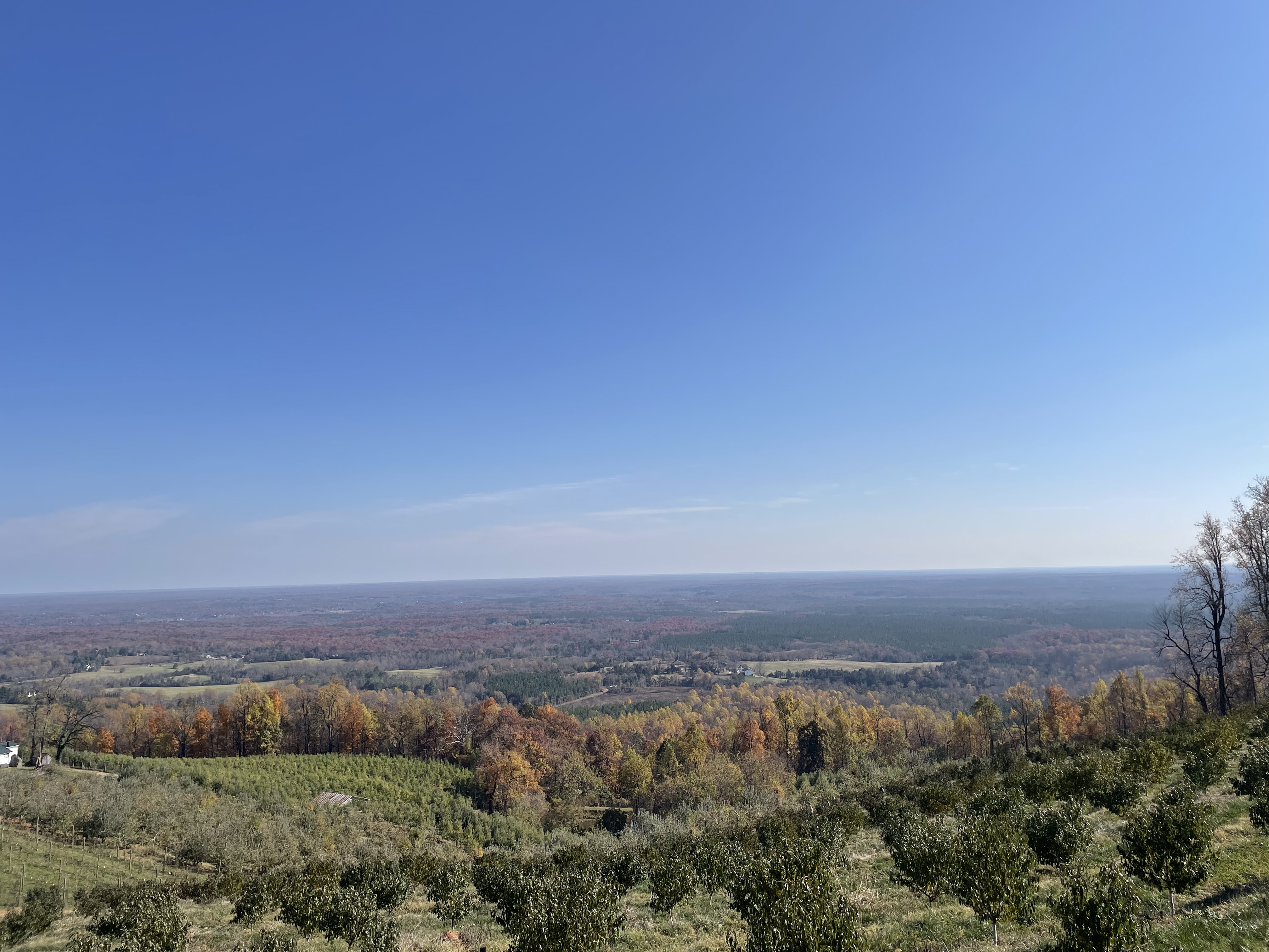 Original Photo by Emma Jo Braun