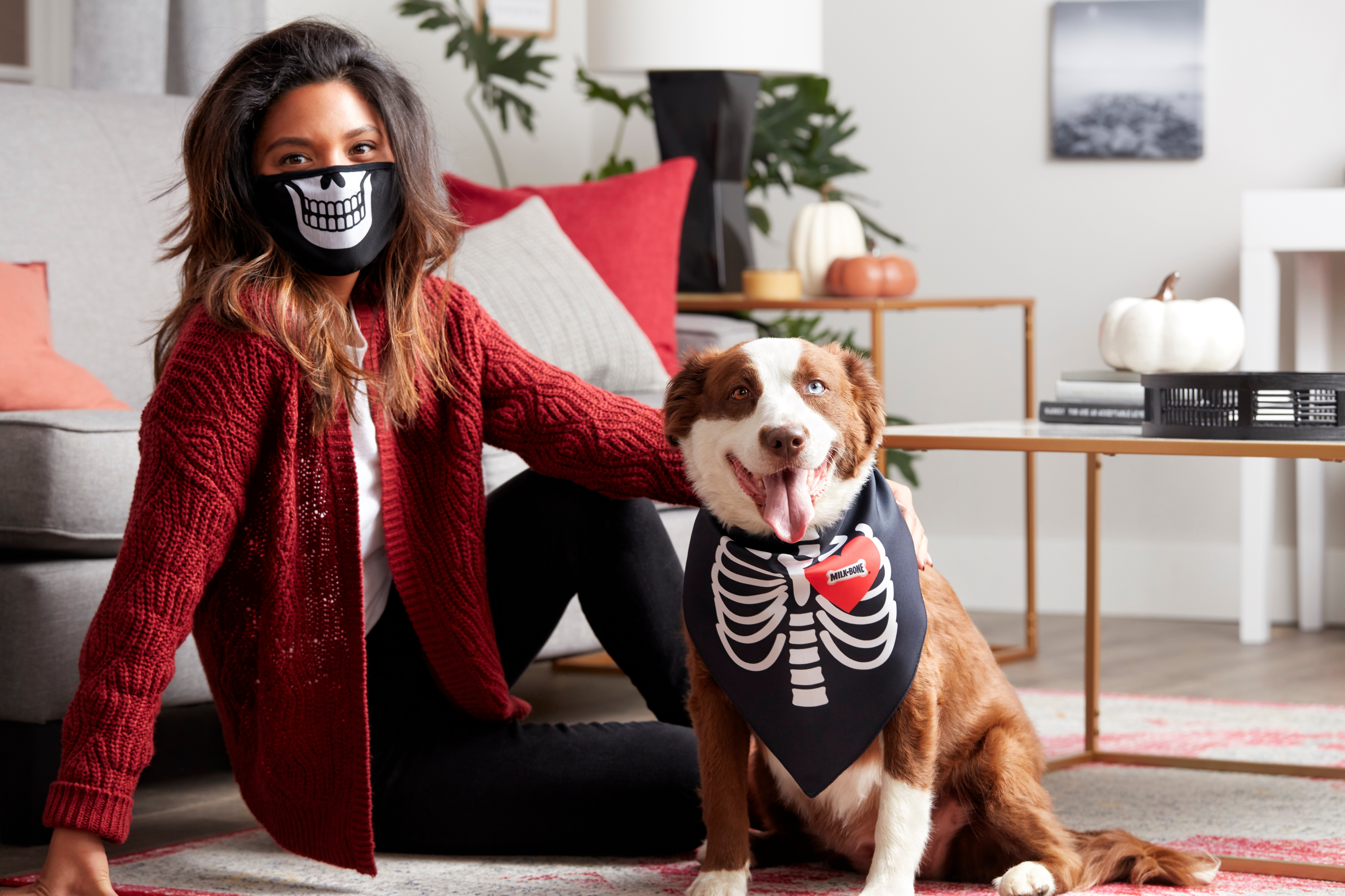 Milk-Bone Halloween Mask and Bandana Set