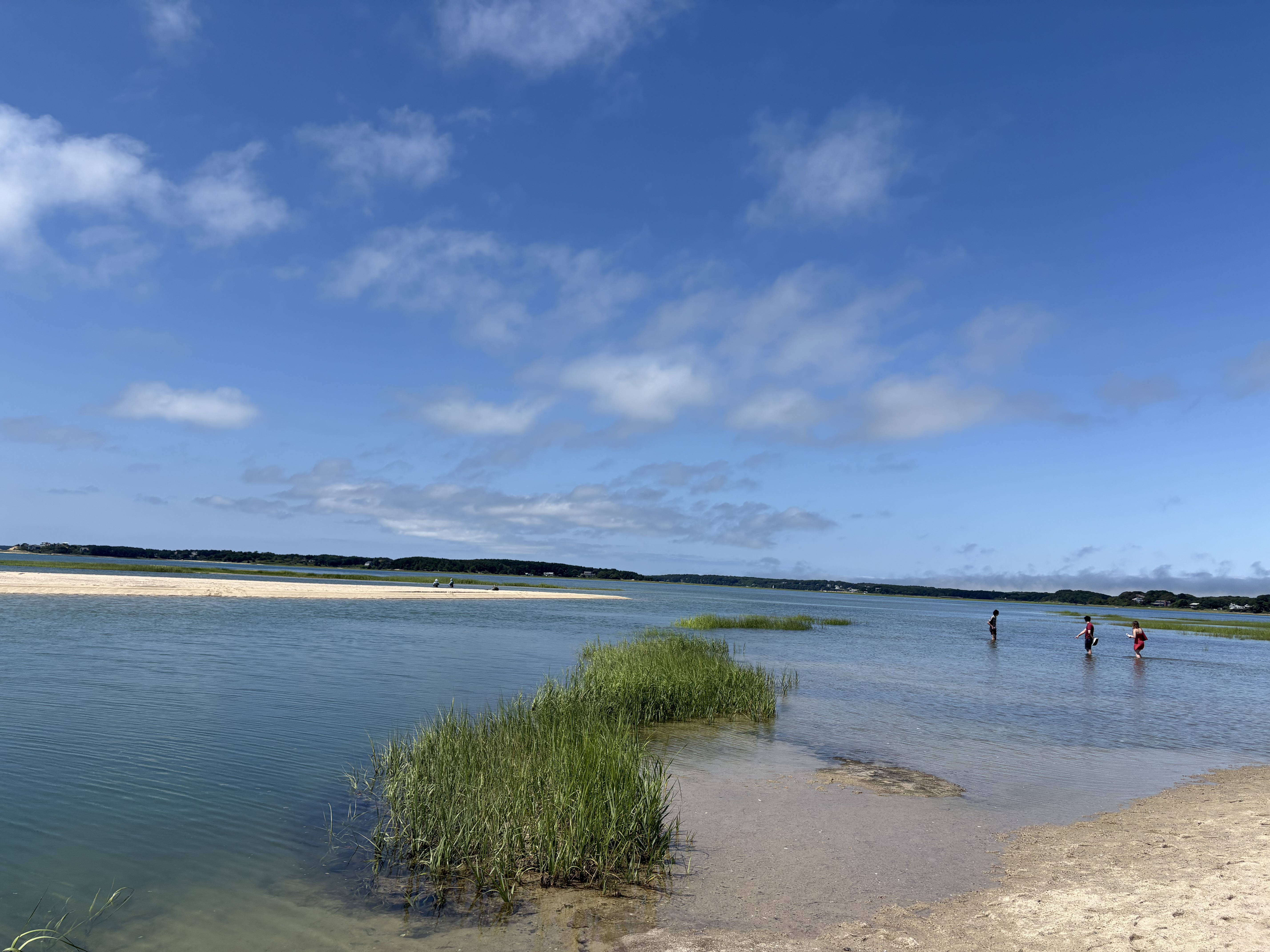 Cape Cod